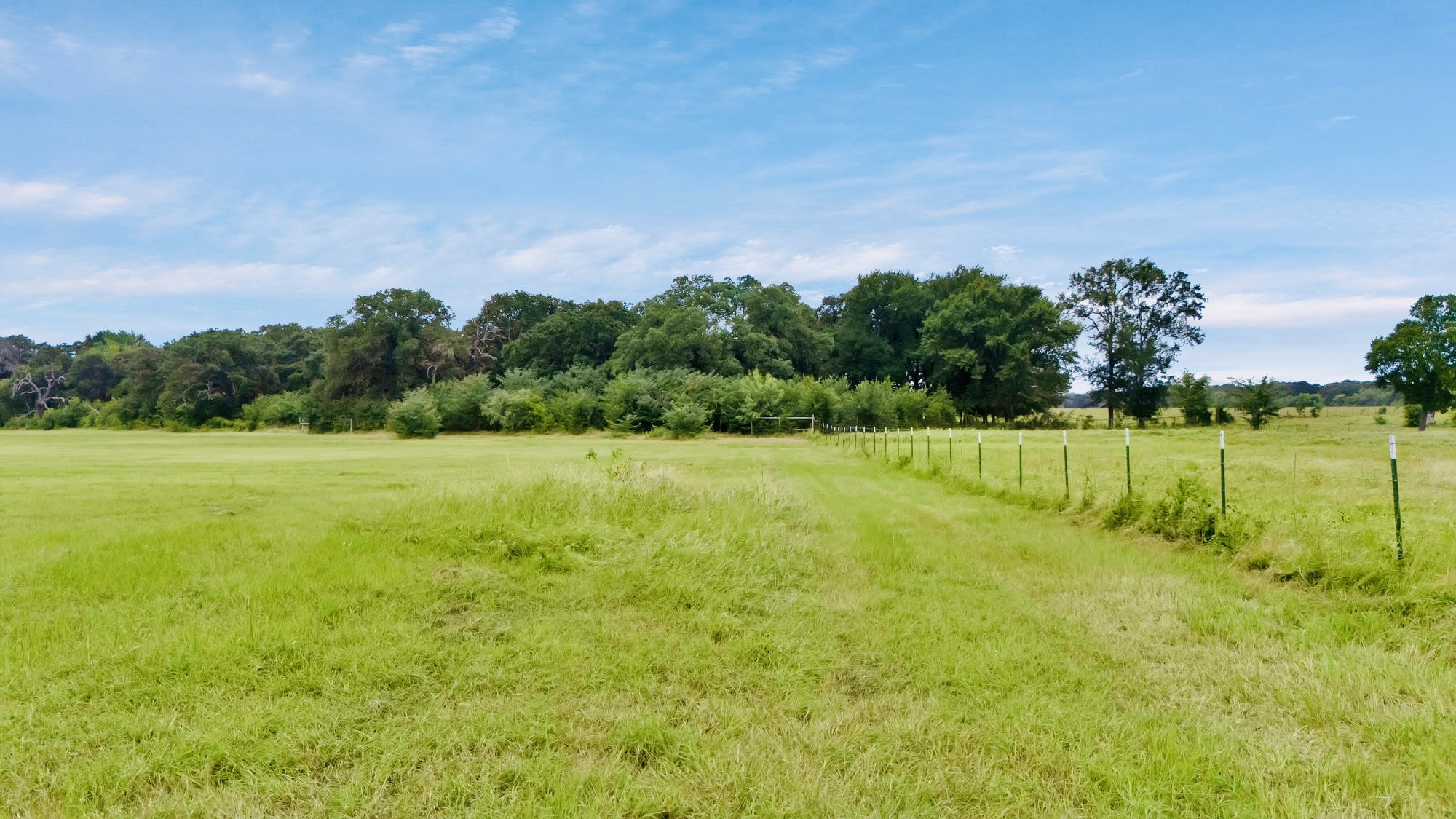 8244 S Fm 148 Scurry TX 75158