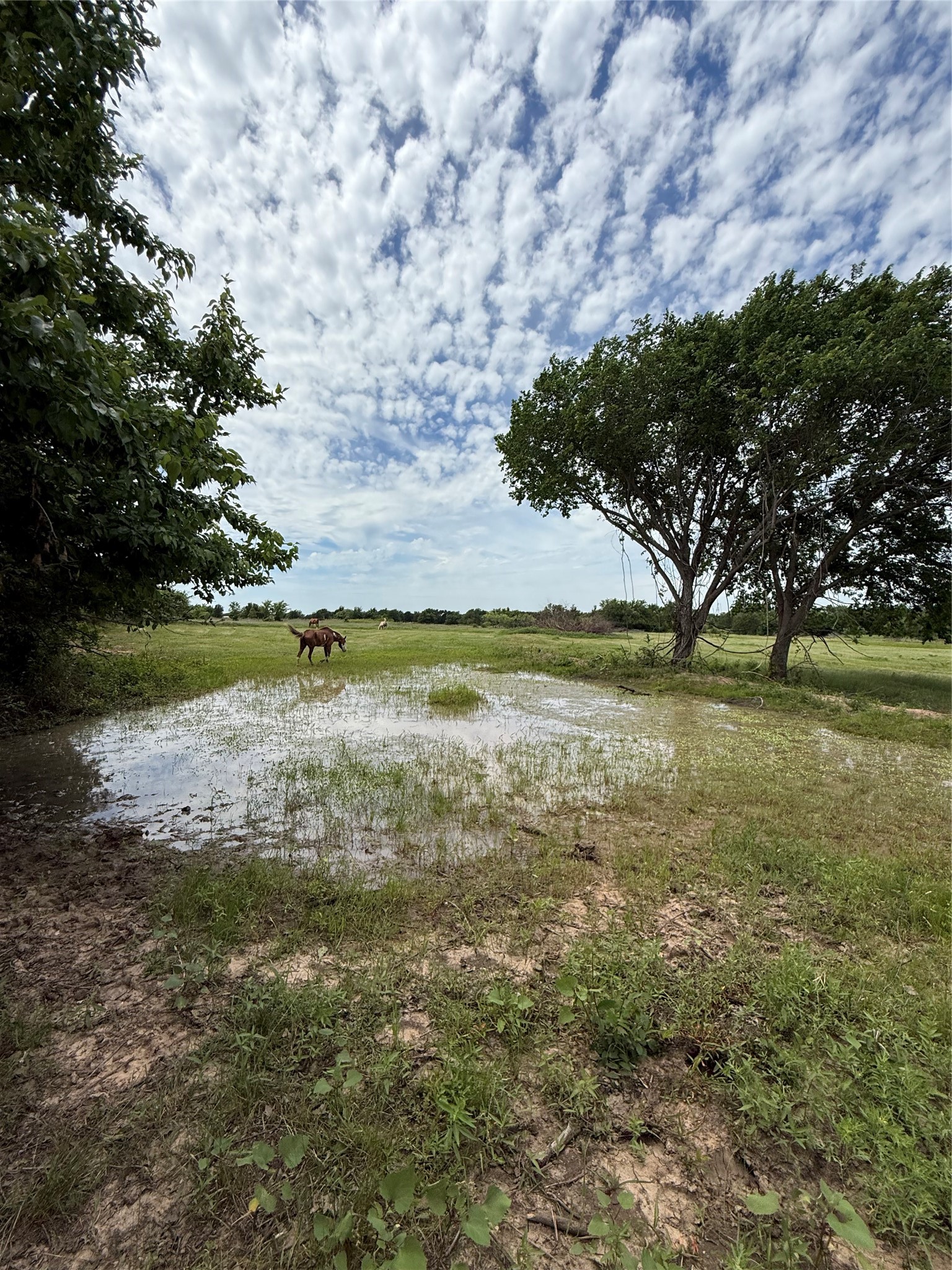 14516 Old Garner Road Garner TX 76088