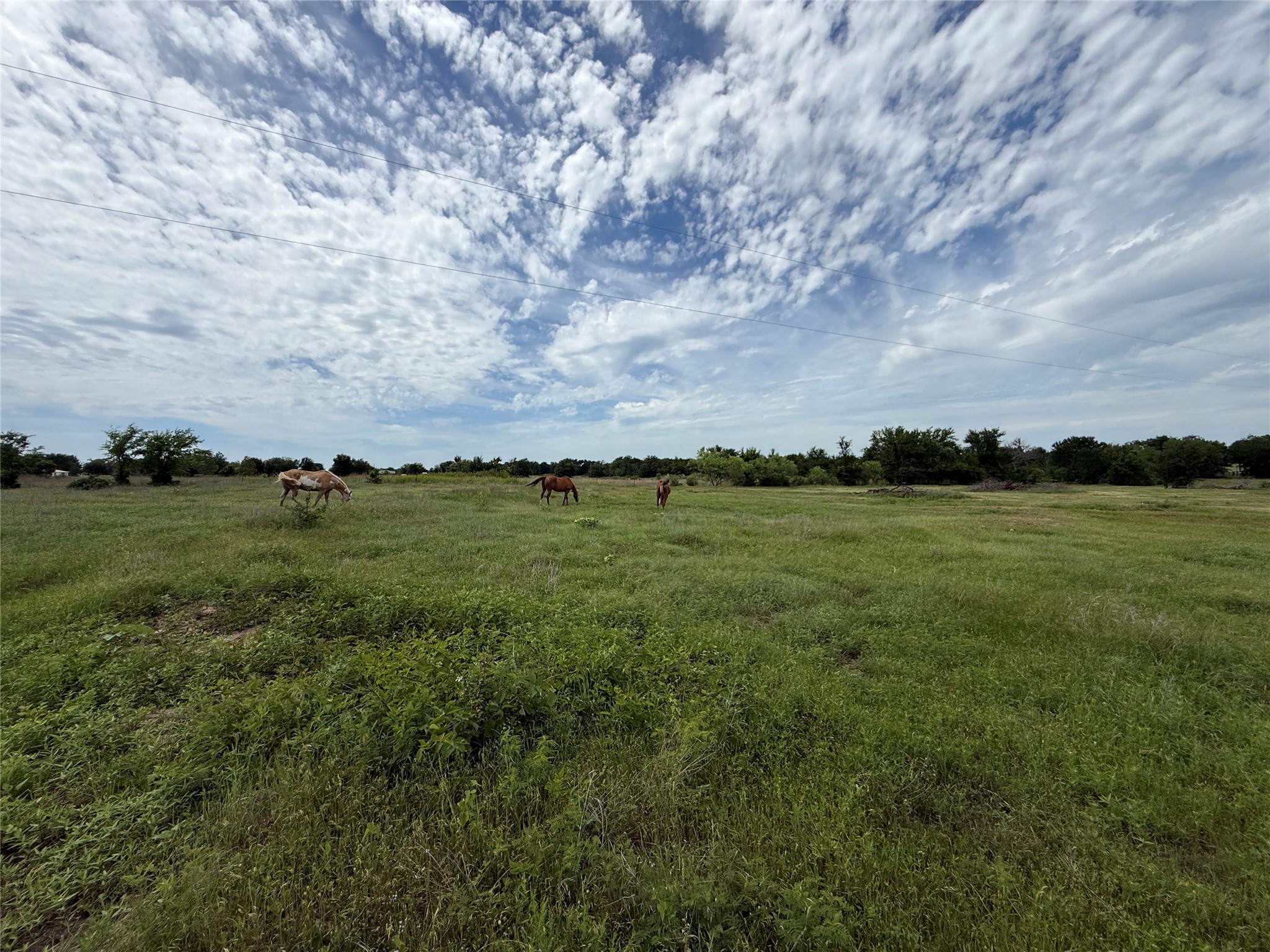 14516 Old Garner Road Garner TX 76088