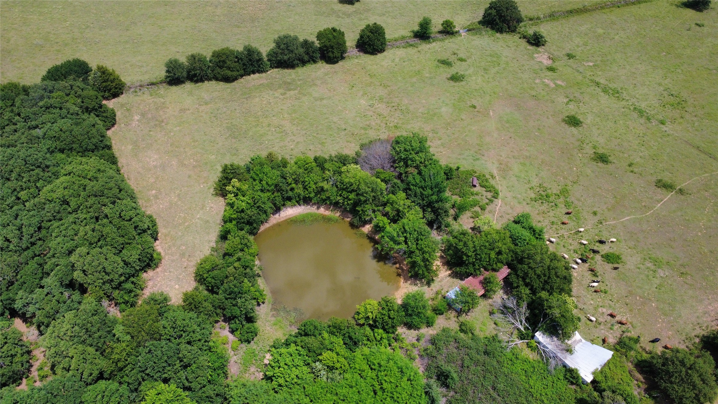 Tbd Fm 1759 Nocona TX 76255