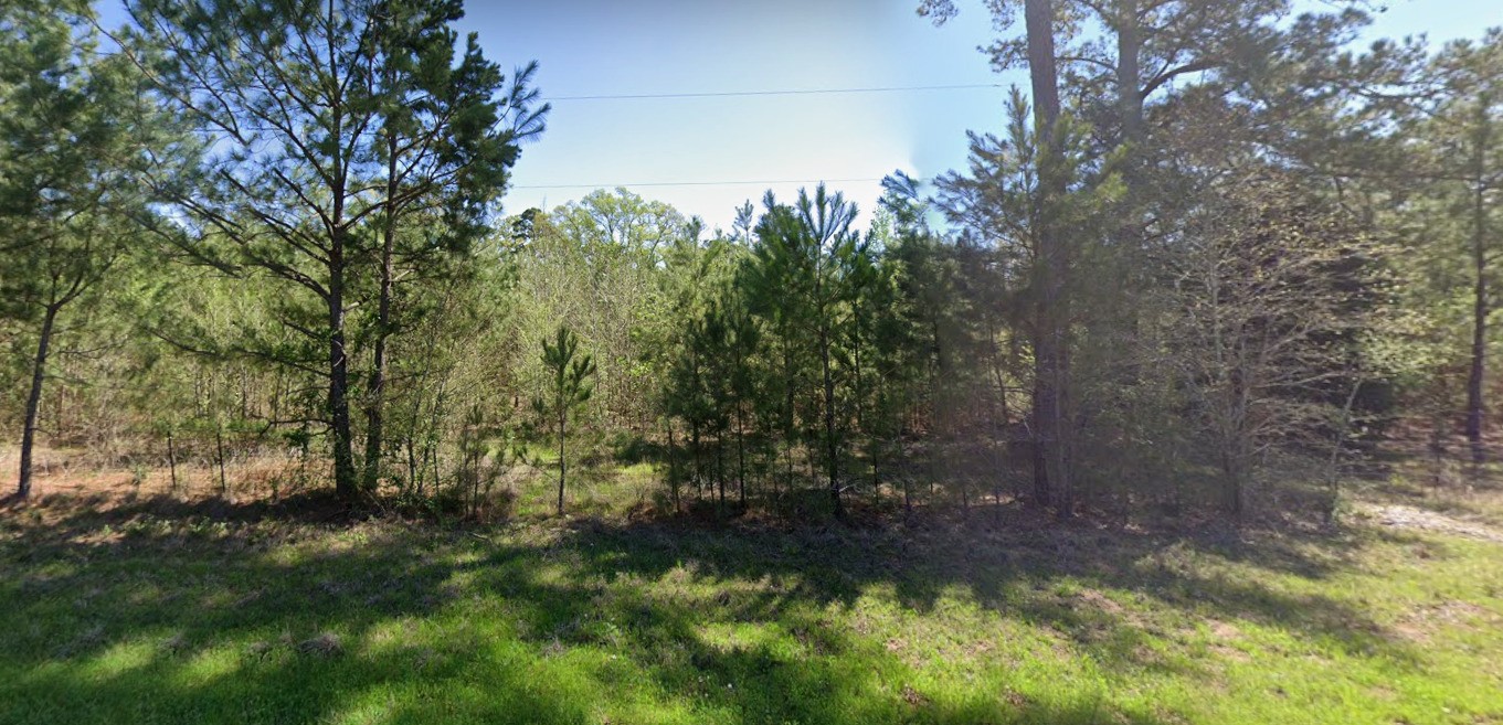 4890 Fm 19 Palestine TX 75803