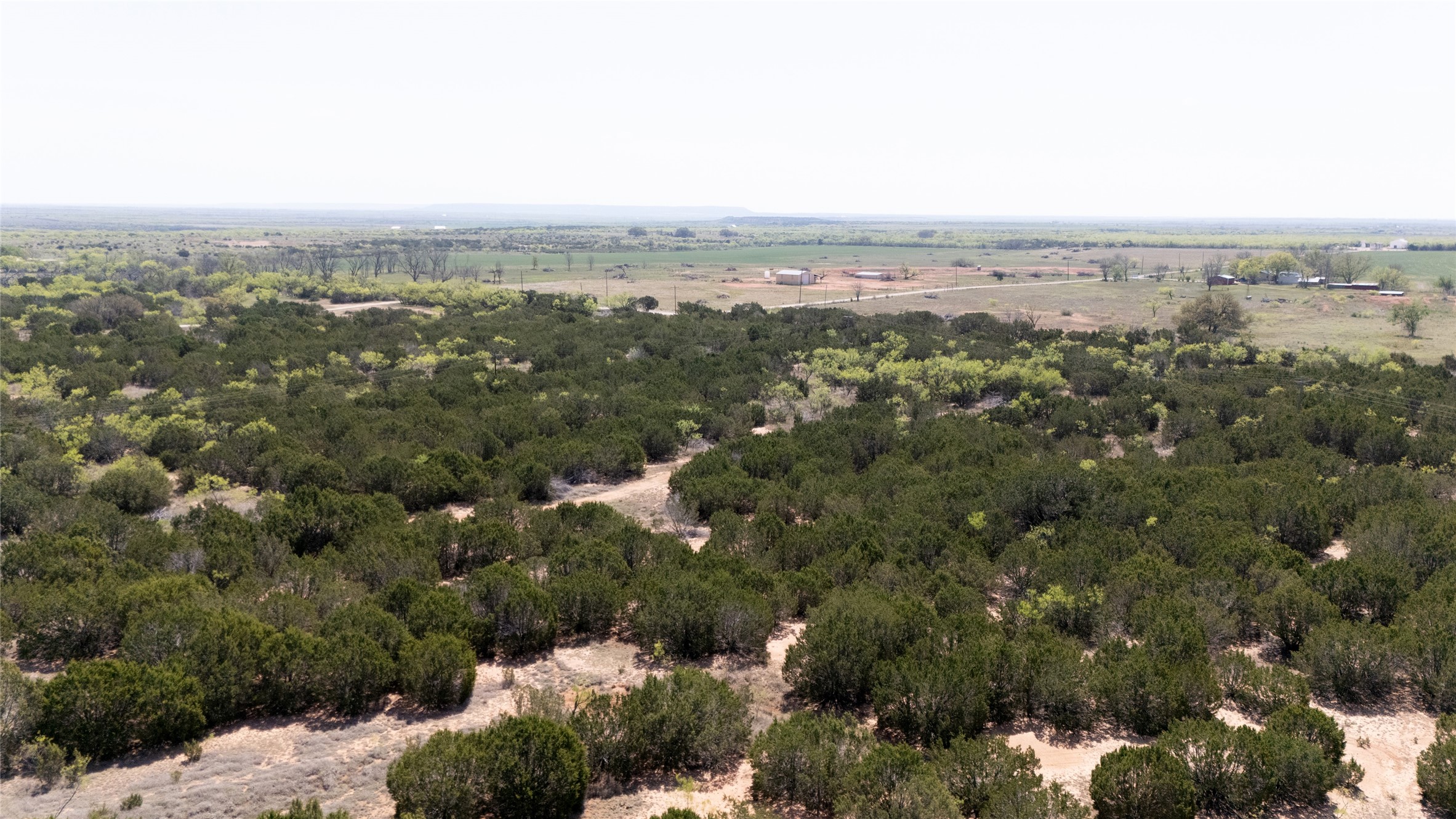 Tbd County Road 184 Ovalo TX 79541
