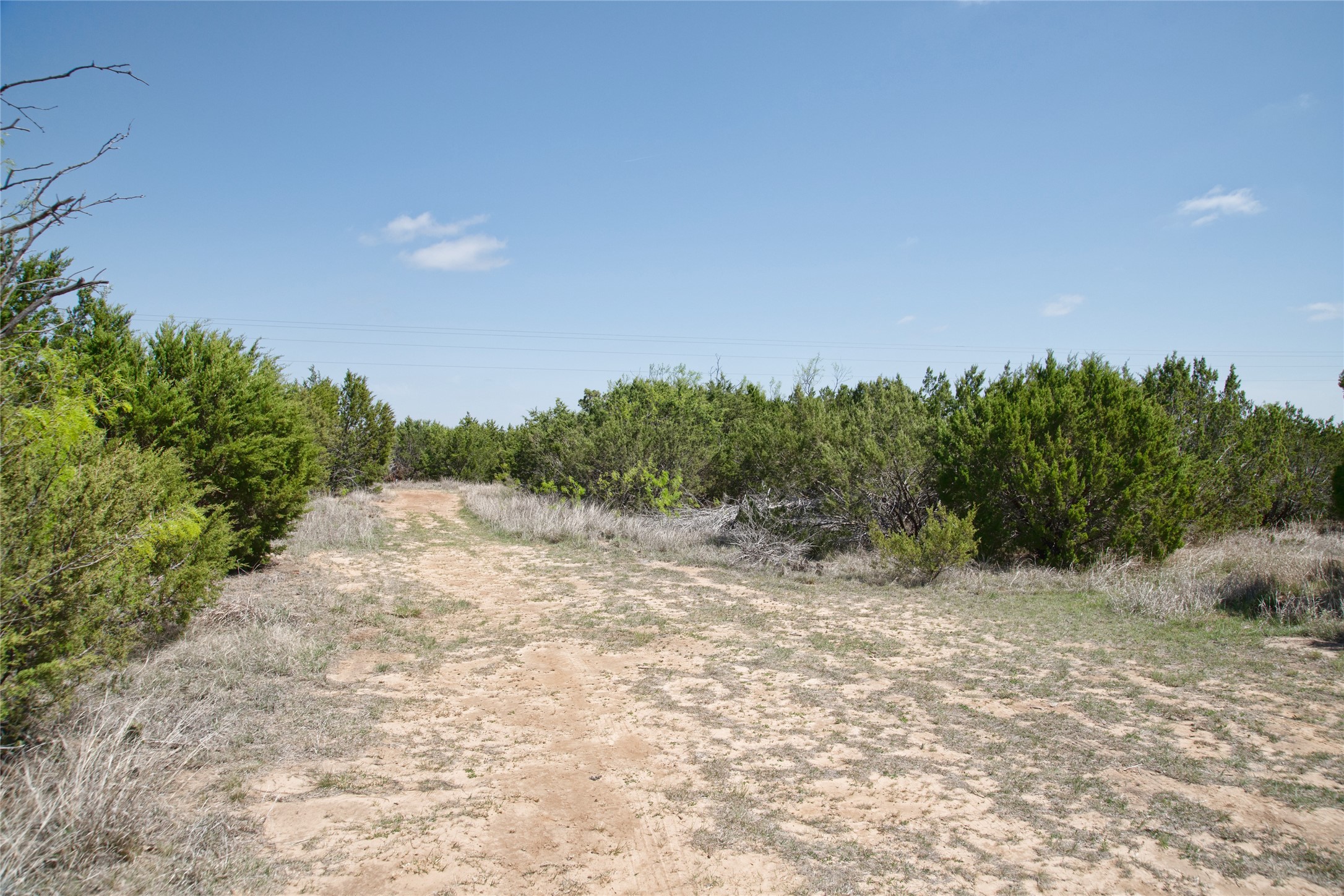 Tbd County Road 184 Ovalo TX 79541