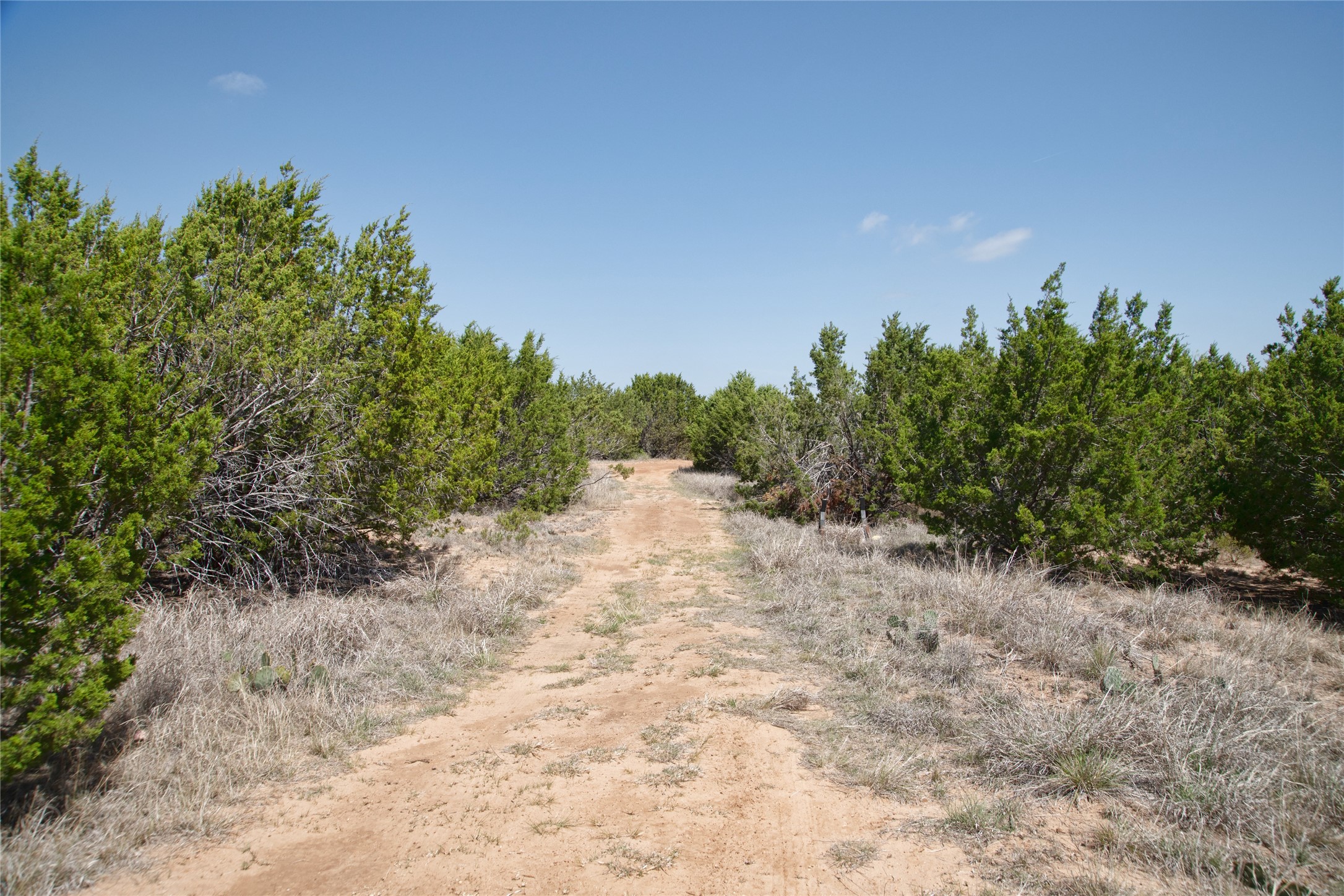 Tbd County Road 184 Ovalo TX 79541