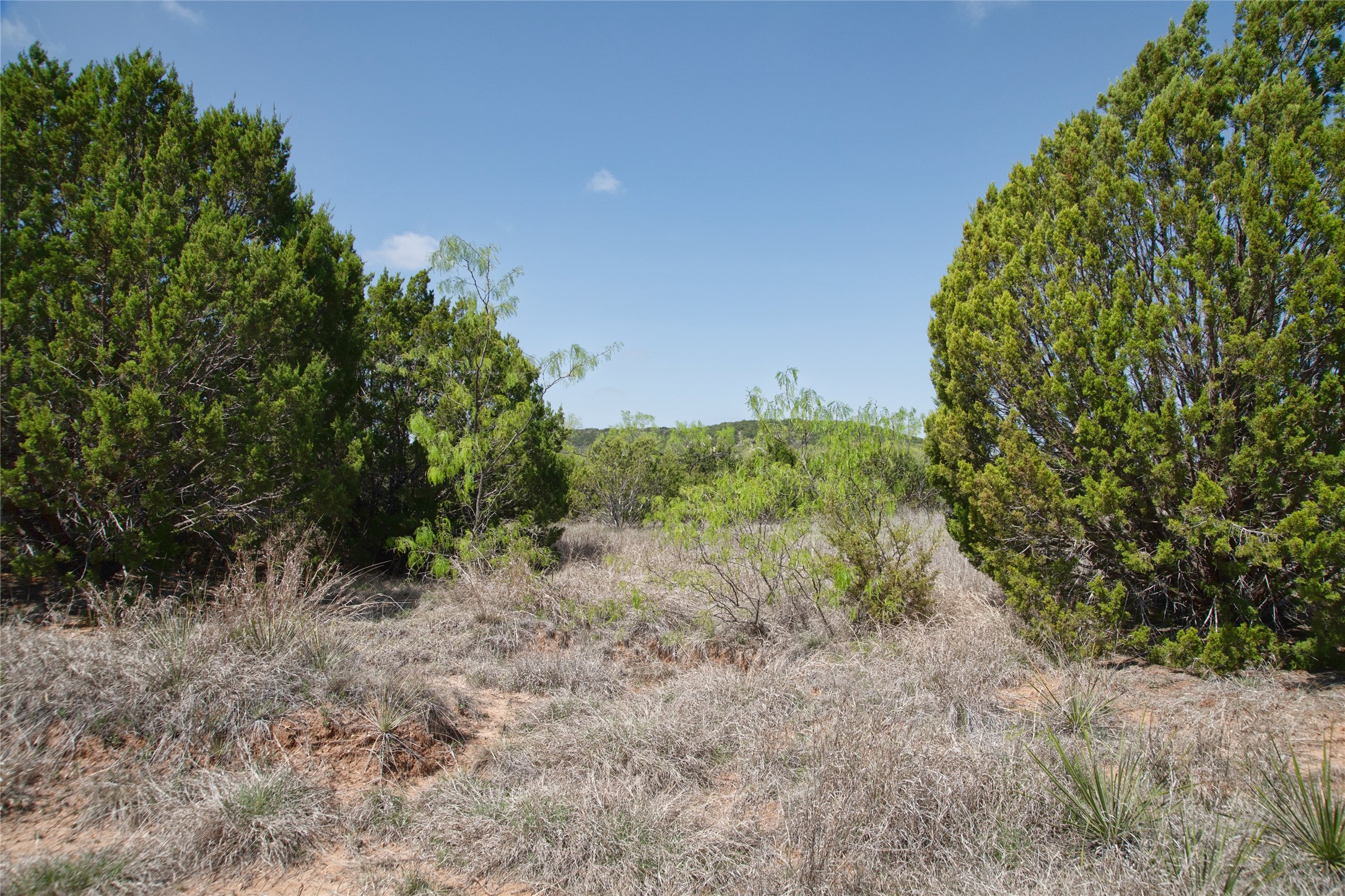Tbd County Road 184 Ovalo TX 79541