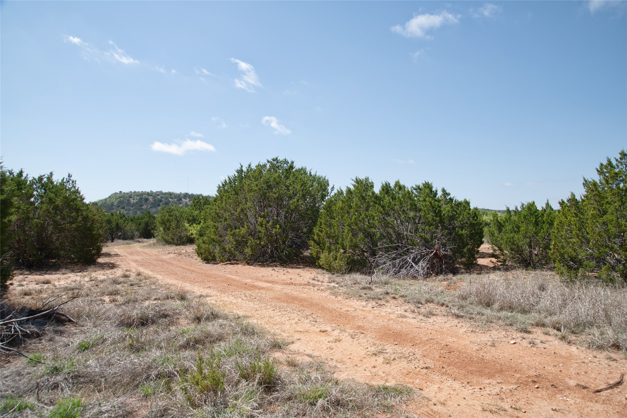Tbd County Road 184 Ovalo TX 79541