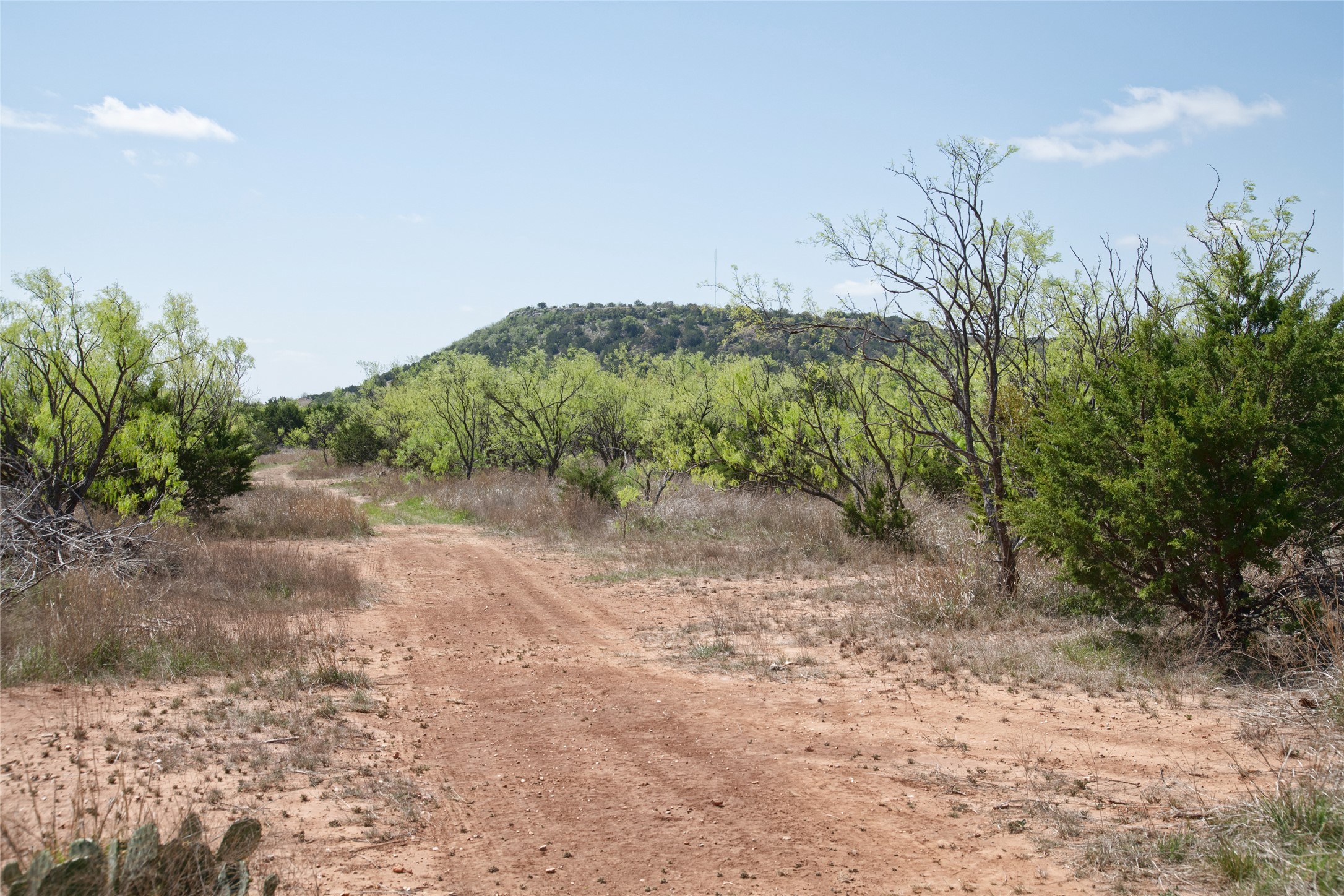 Tbd County Road 184 Ovalo TX 79541