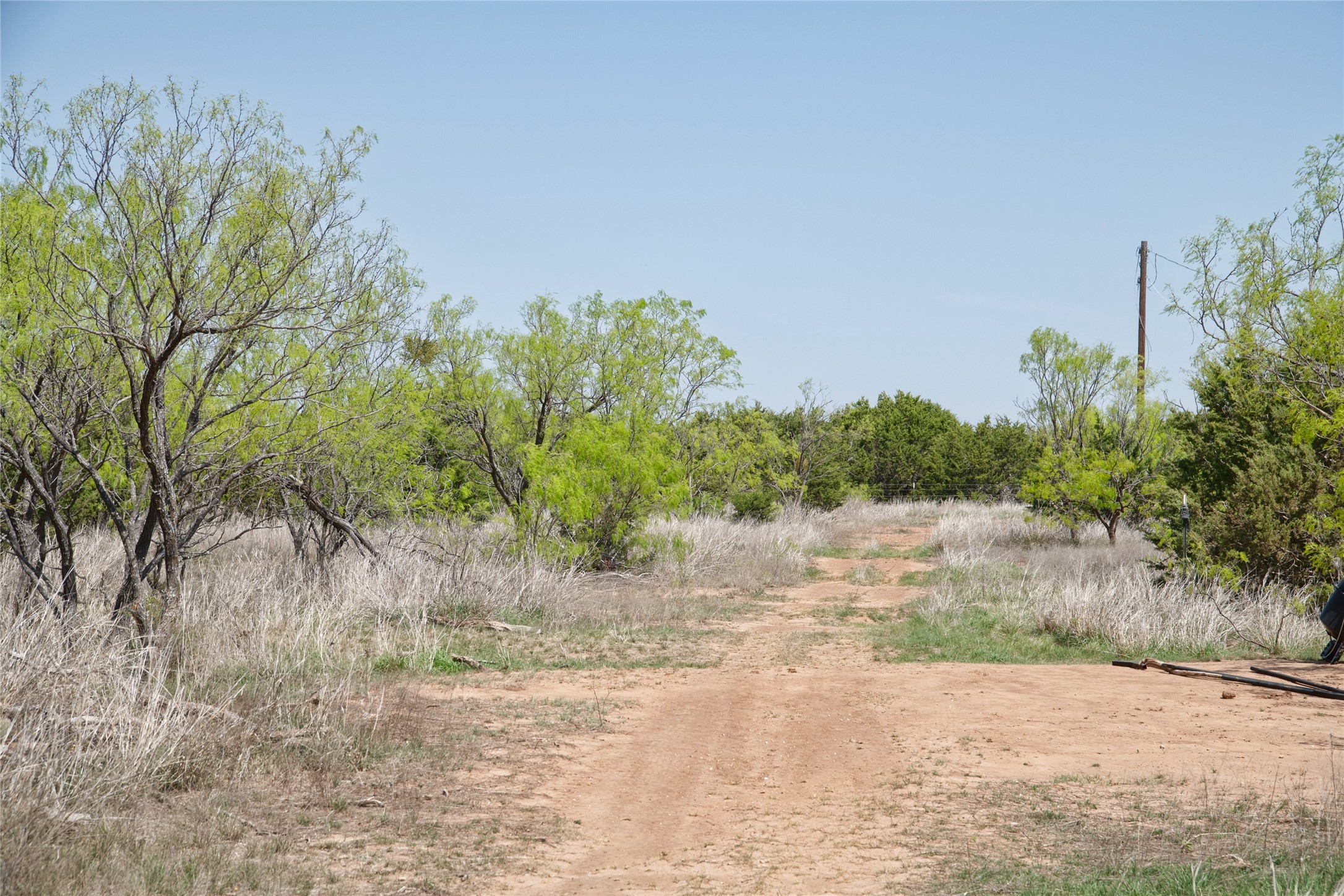 Tbd County Road 184 Ovalo TX 79541