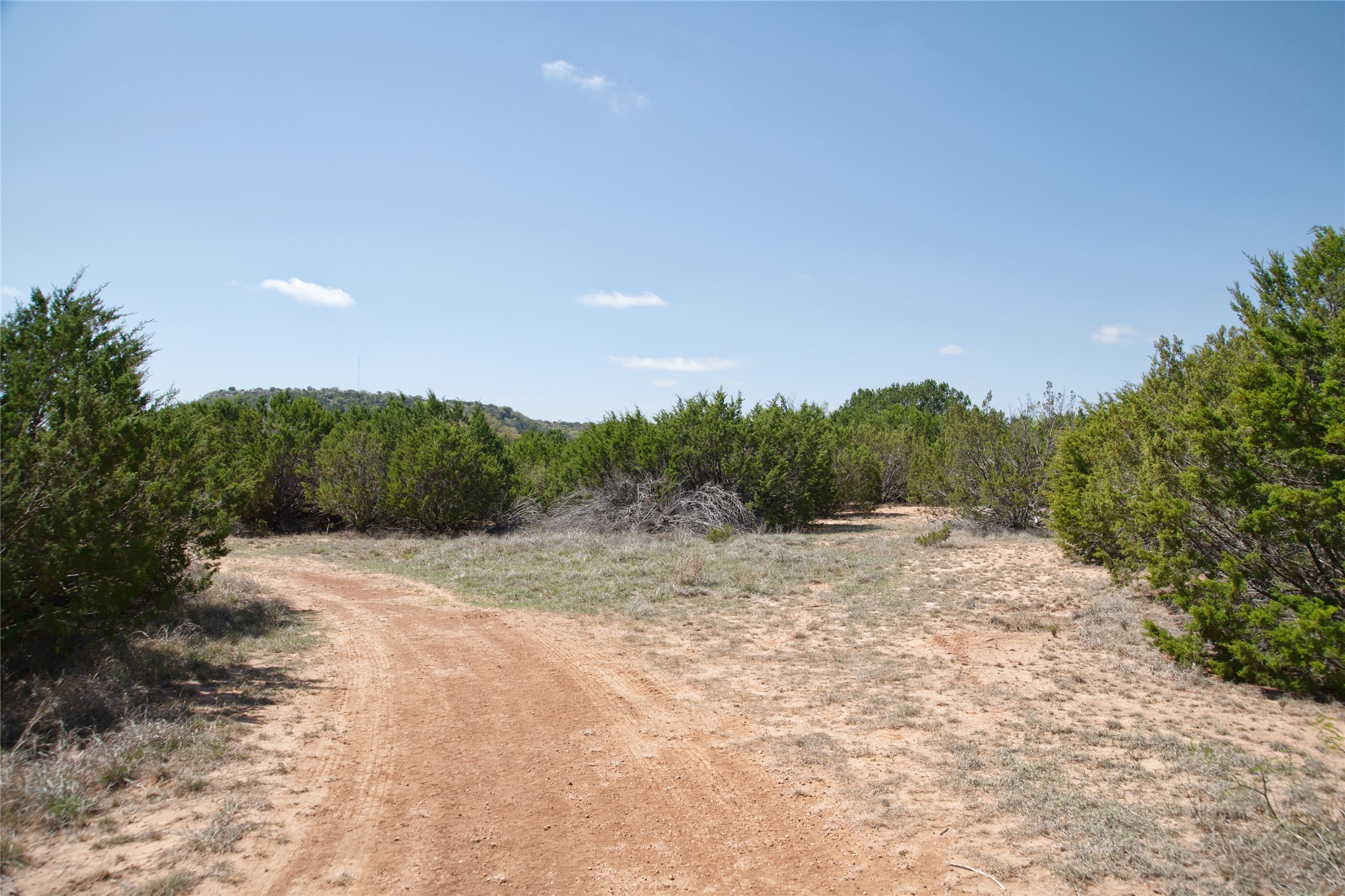 Tbd County Road 184 Ovalo TX 79541