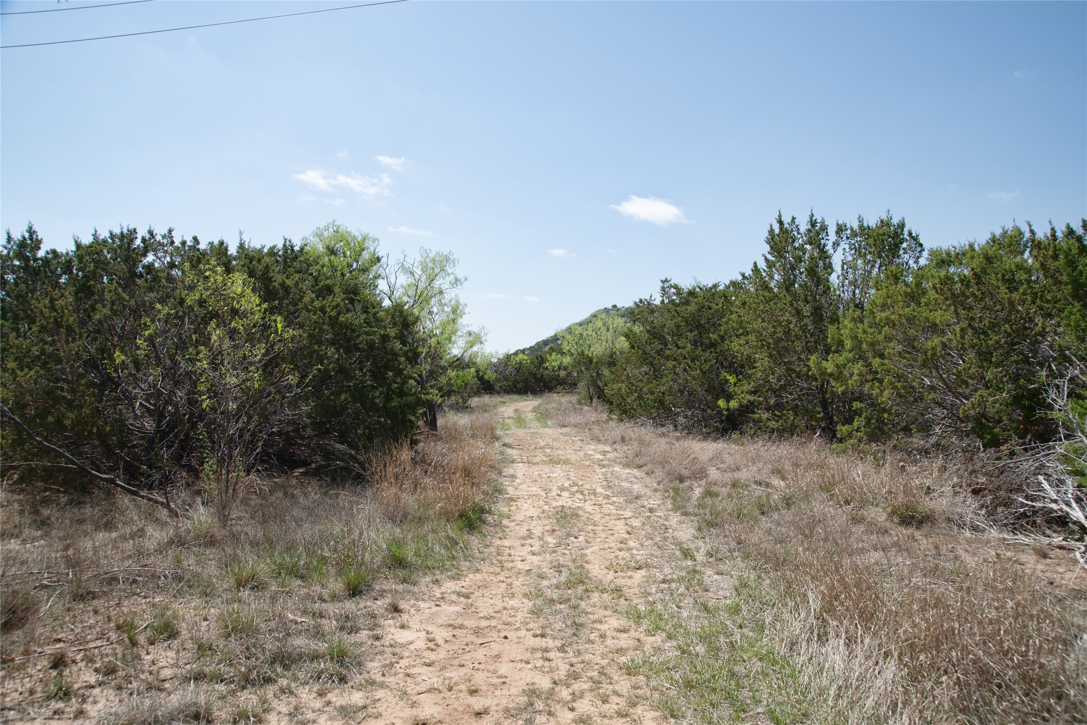 Tbd County Road 184 Ovalo TX 79541