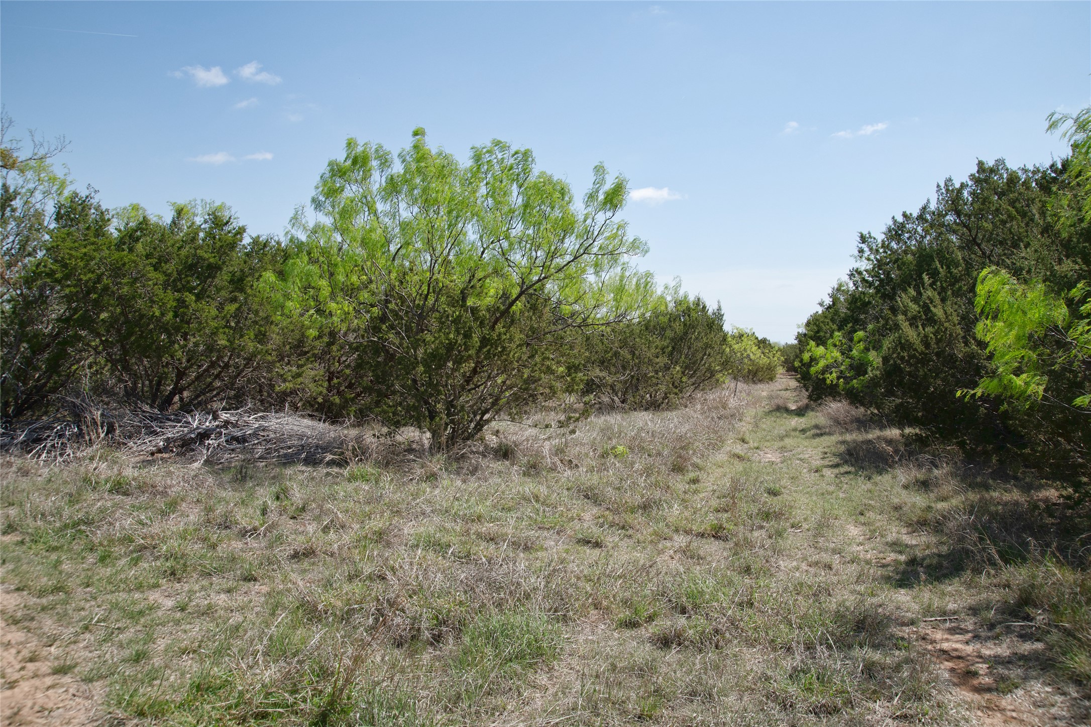 Tbd County Road 184 Ovalo TX 79541