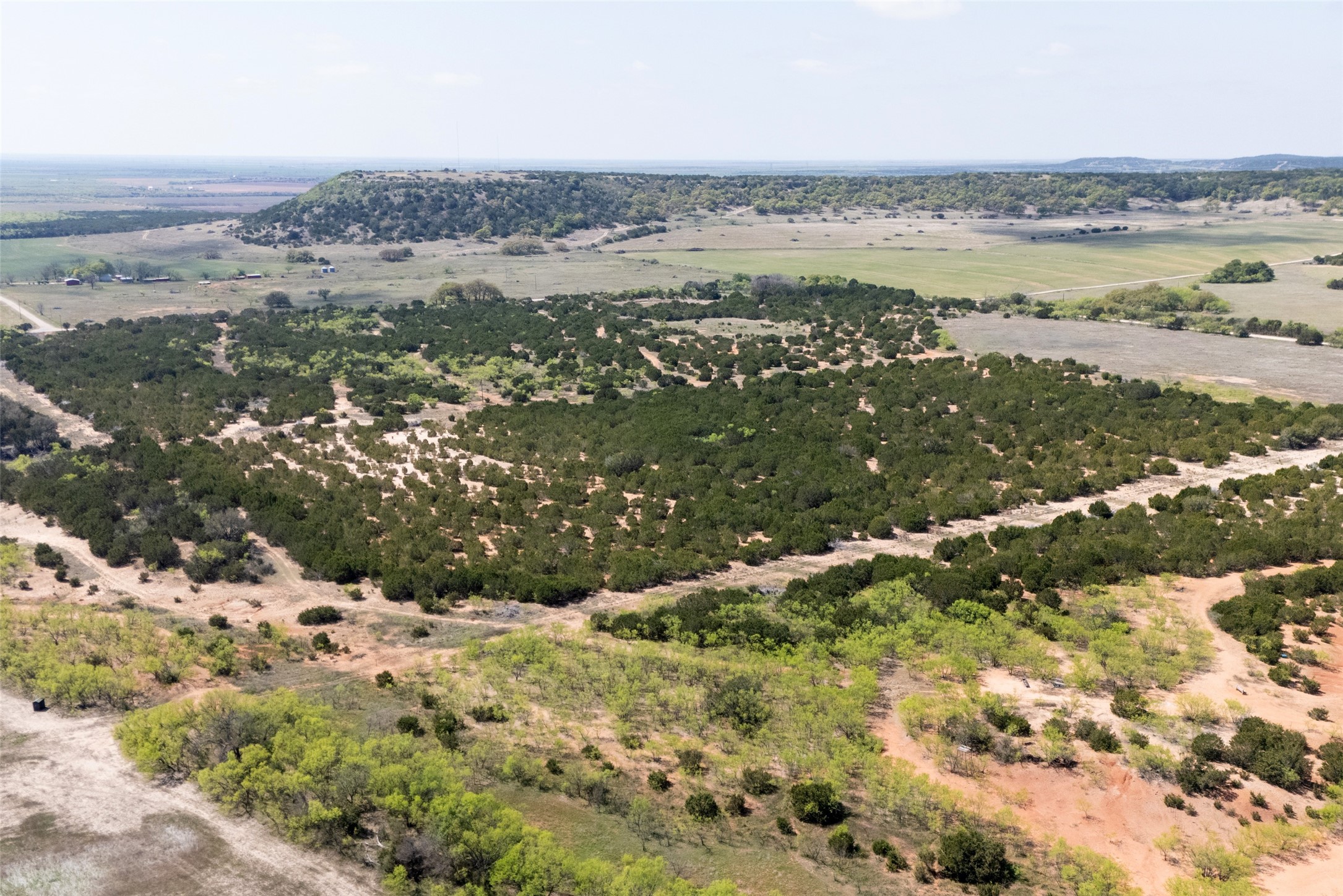 Tbd County Road 184 Ovalo TX 79541