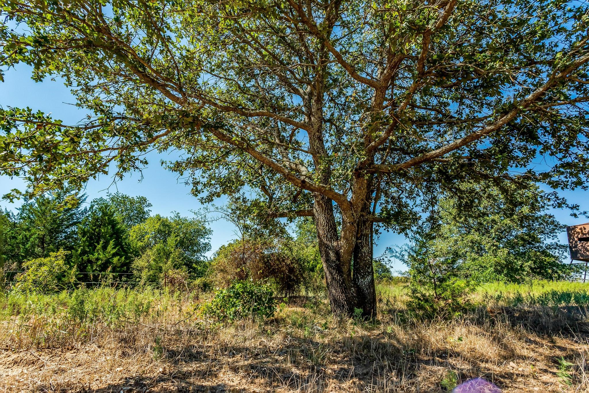 000 South Johnson Loop Bowie TX 76230