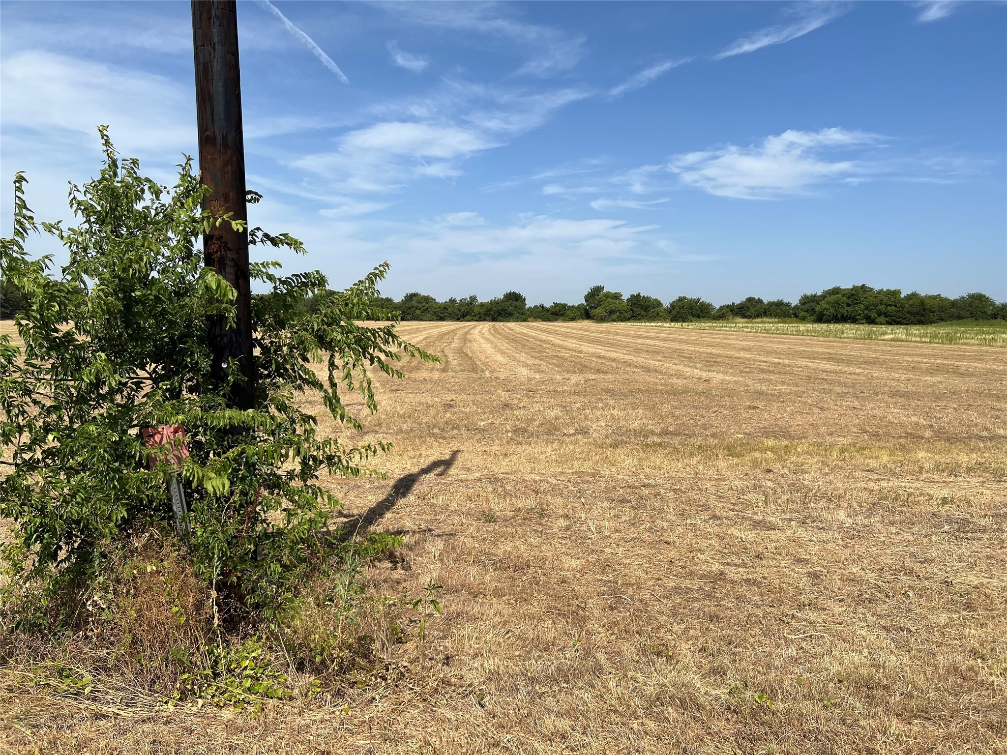 Lot 3 Rodgers Road Sadler TX 76264