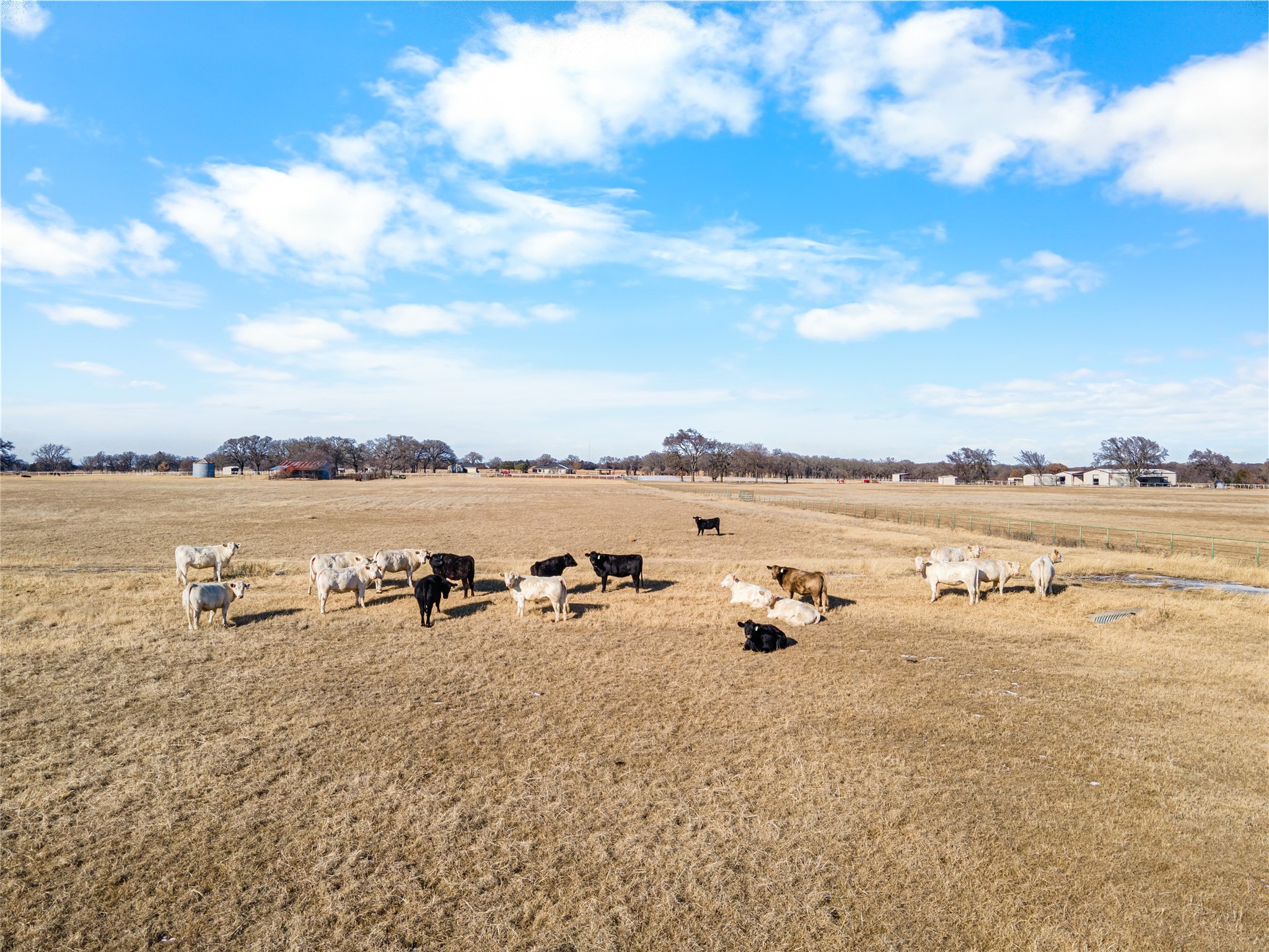 2465 Harpole Road Tioga TX 76271