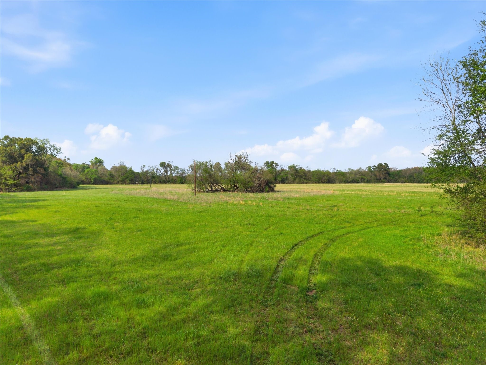 Tbd County Road 1151 Miller Grove TX 75433