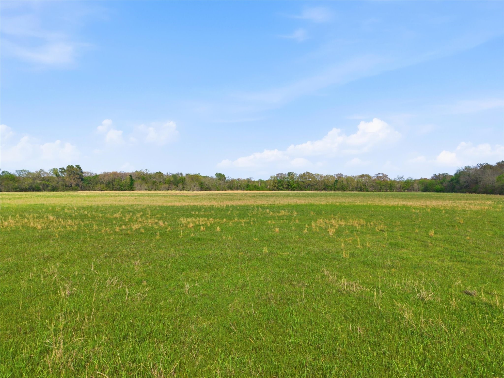 Tbd County Road 1151 Miller Grove TX 75433