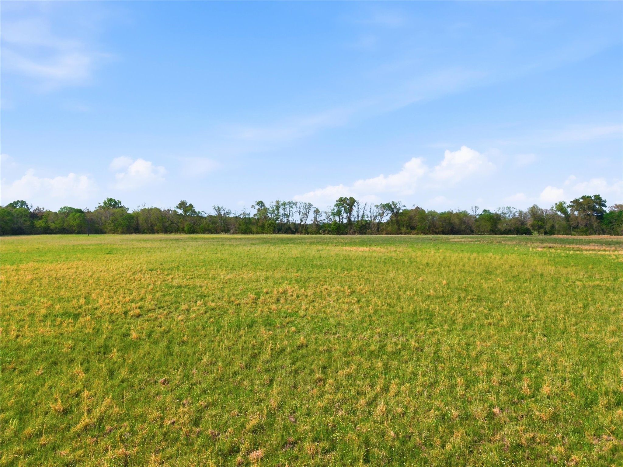 Tbd County Road 1151 Miller Grove TX 75433