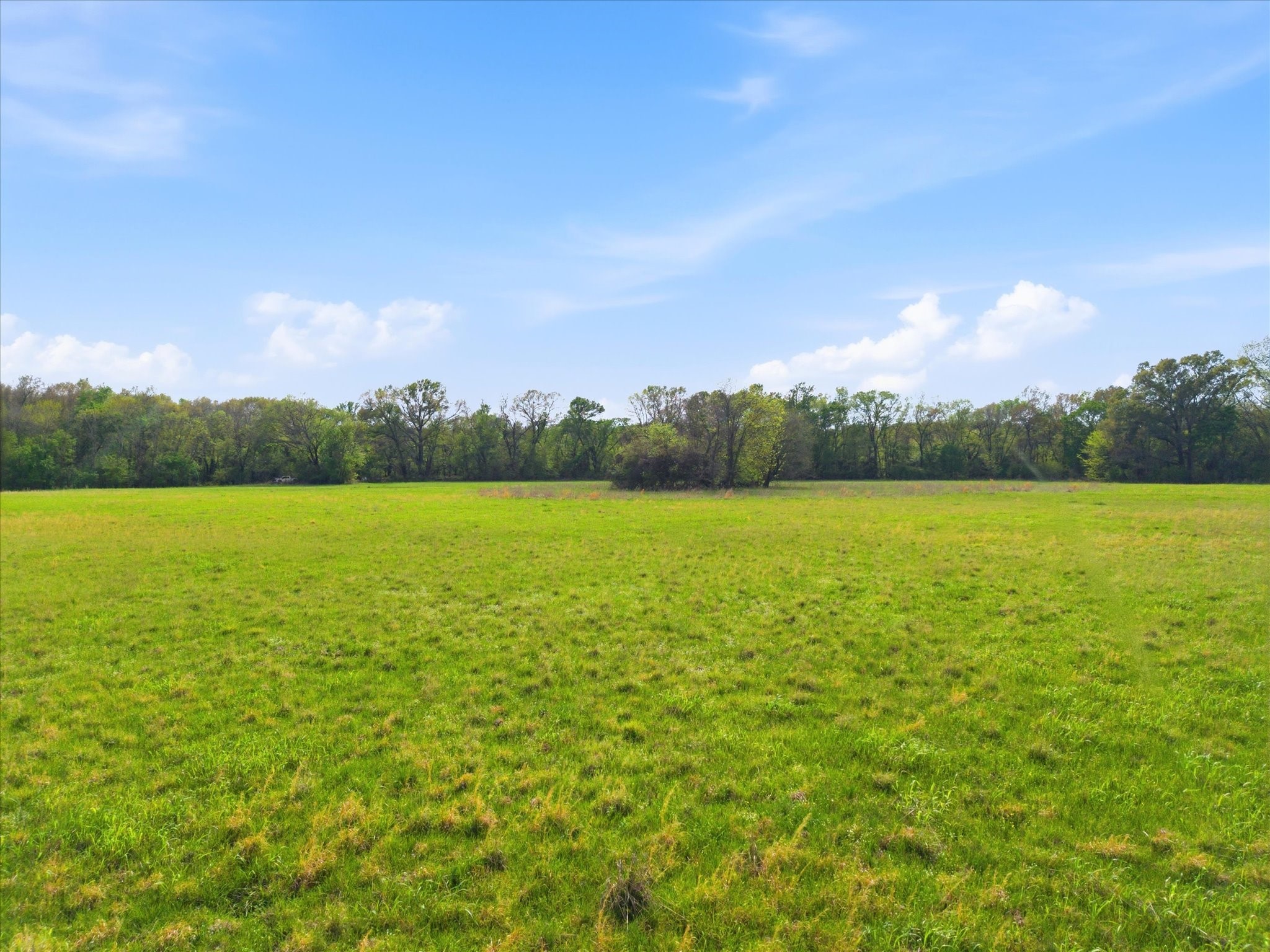 Tbd County Road 1151 Miller Grove TX 75433