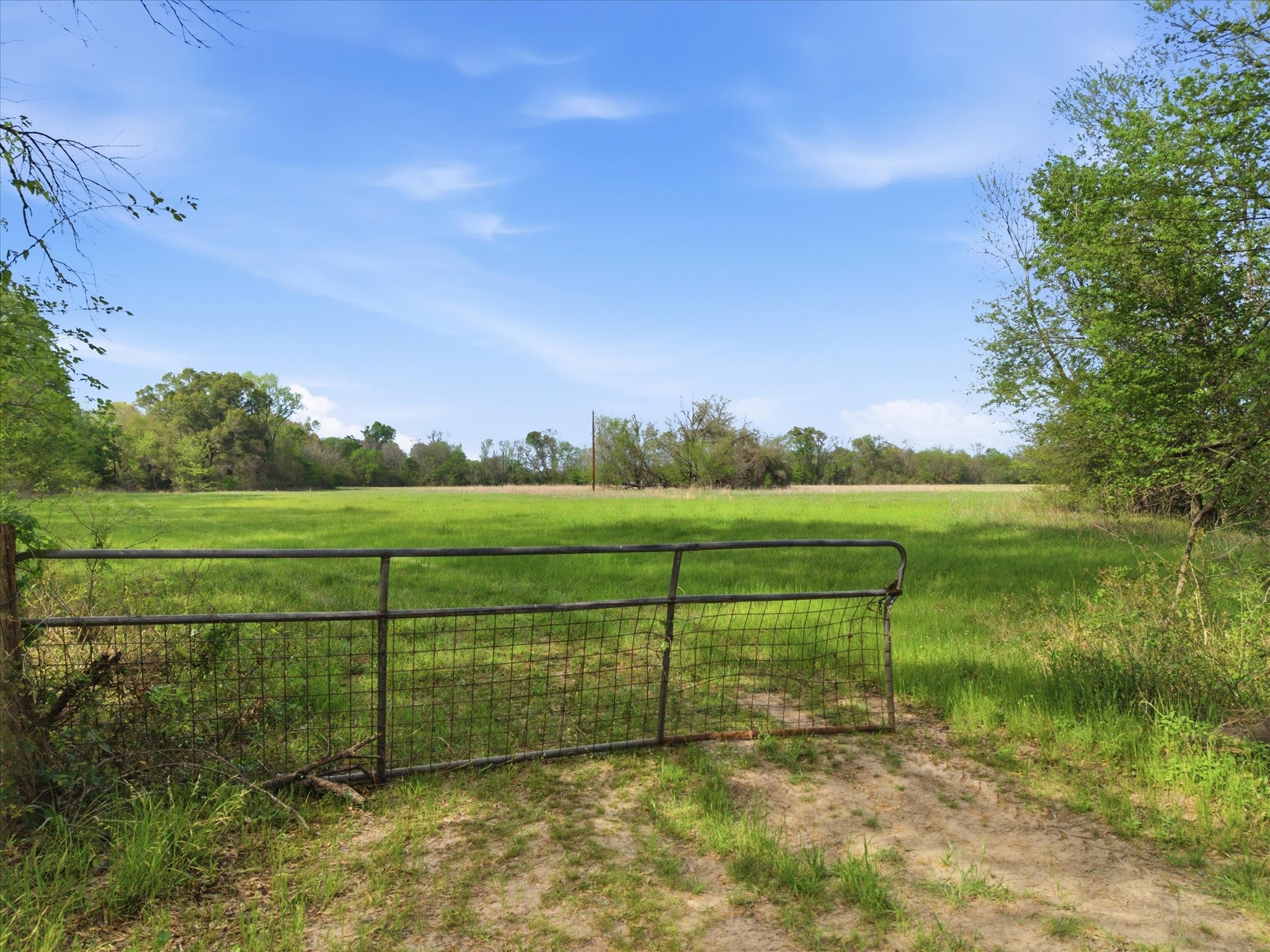 Tbd County Road 1151 Miller Grove TX 75433