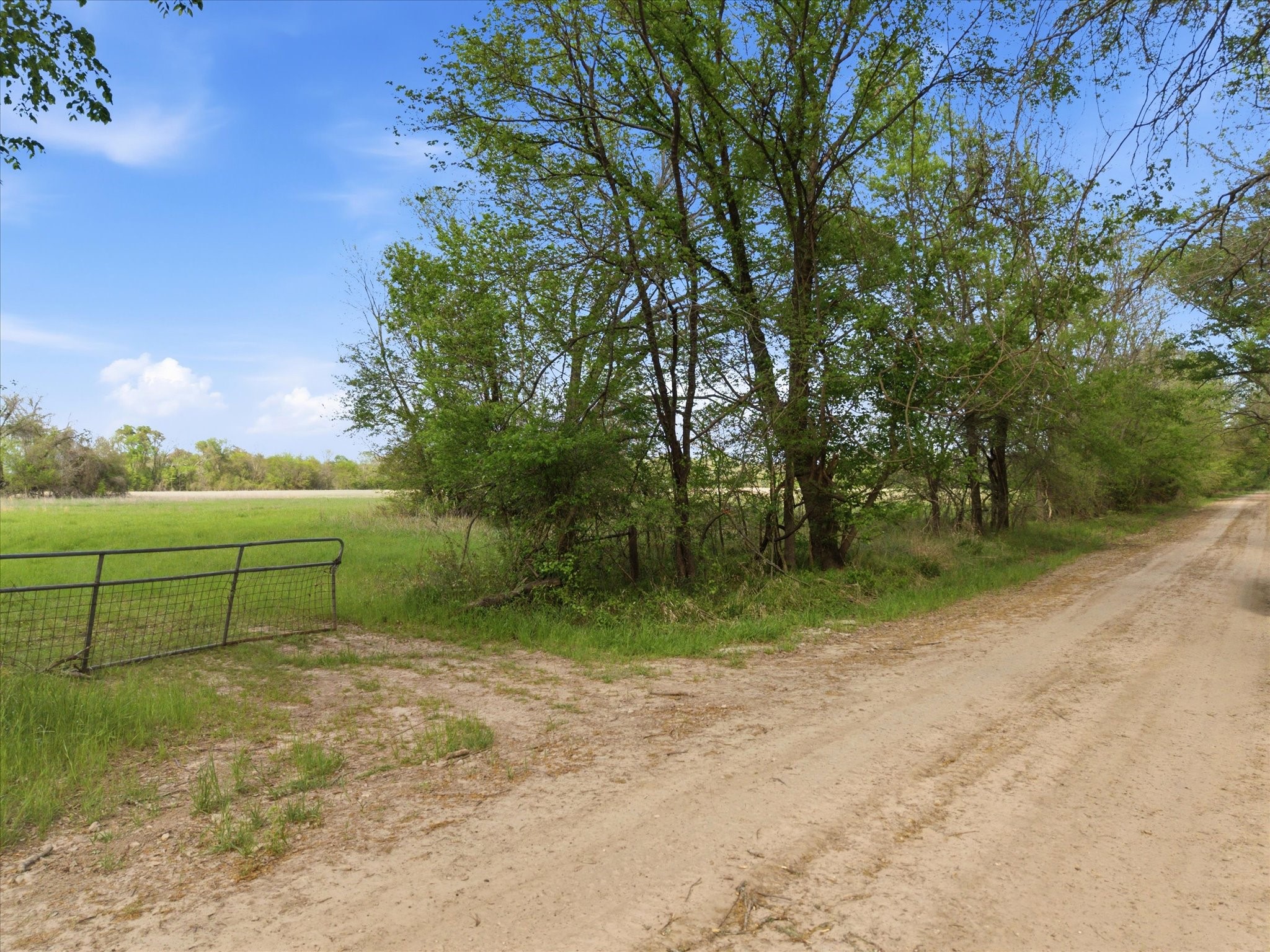 Tbd County Road 1151 Miller Grove TX 75433