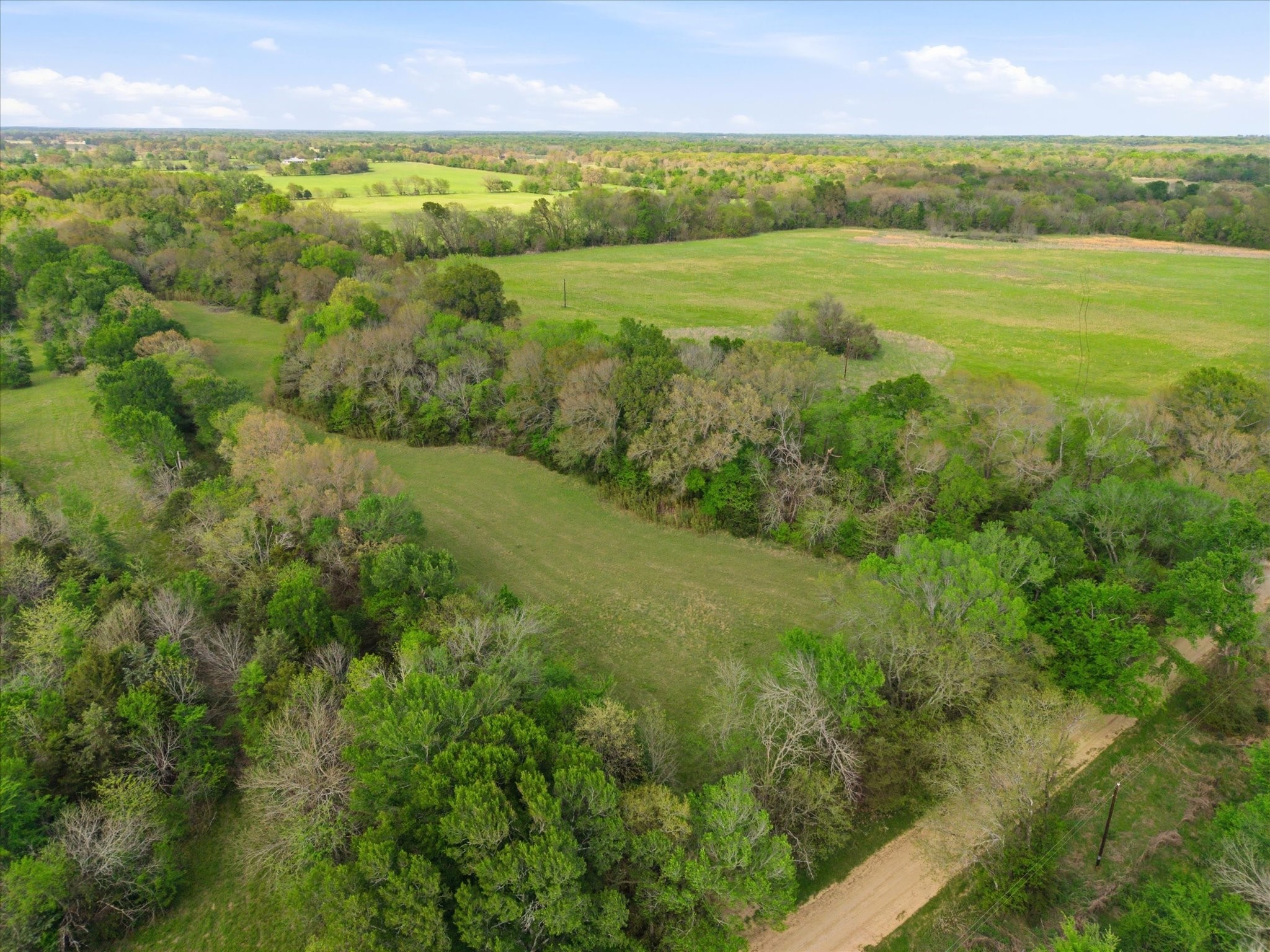 Tbd County Road 1151 Miller Grove TX 75433