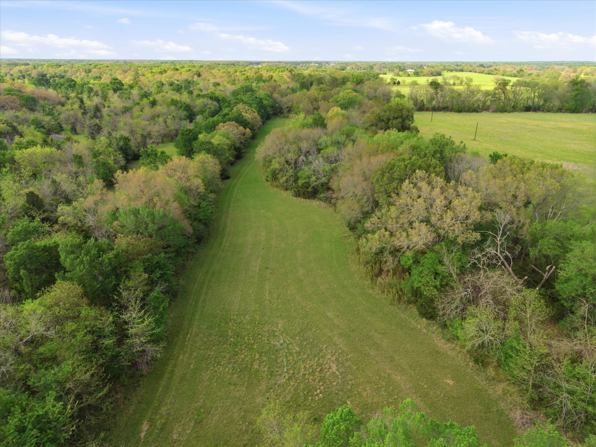Tbd County Road 1151 Miller Grove TX 75433
