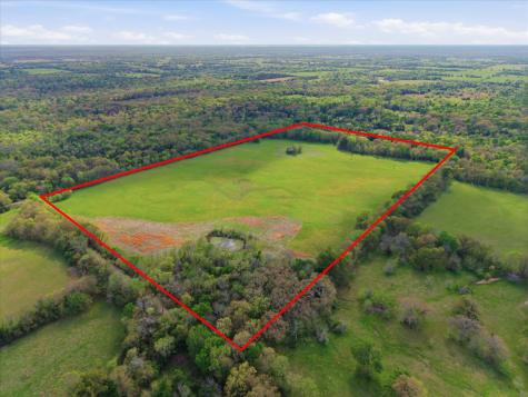 TBD County Road 1151 Miller Grove TX 75433
