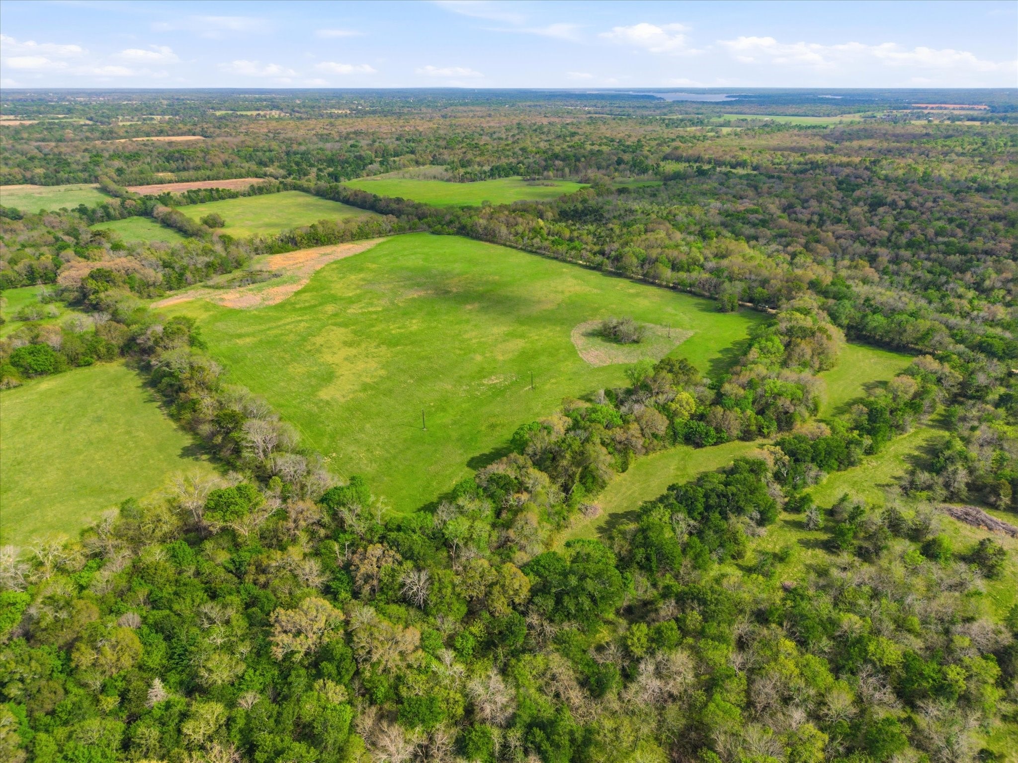 Tbd County Road 1151 Miller Grove TX 75433