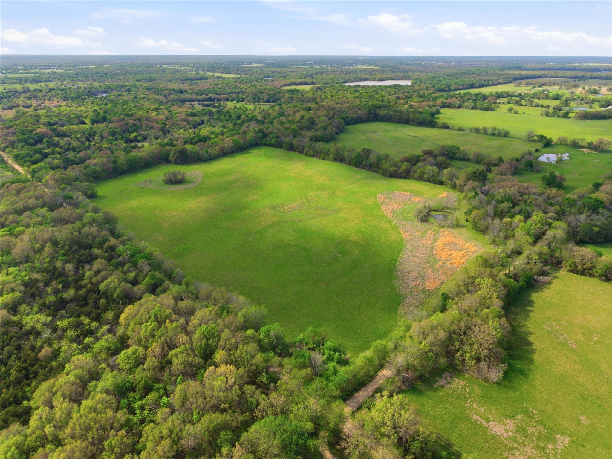 Tbd County Road 1151 Miller Grove TX 75433