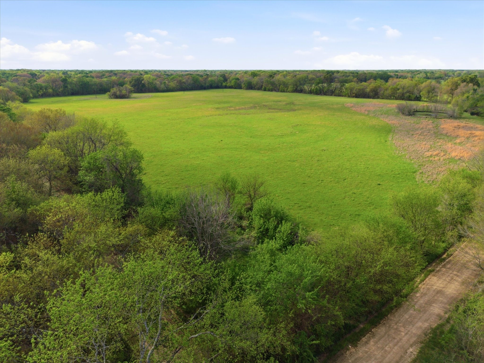 Tbd County Road 1151 Miller Grove TX 75433