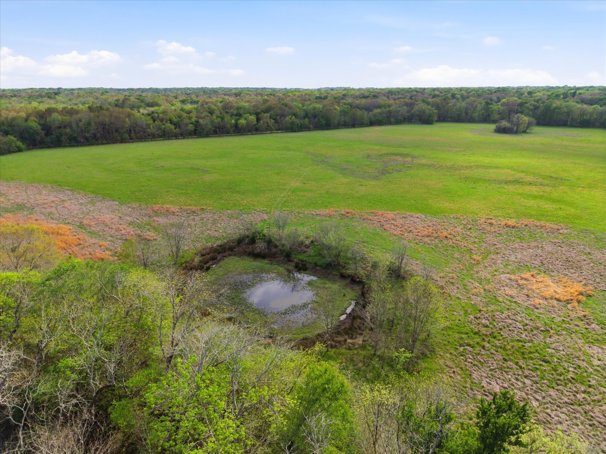 Tbd County Road 1151 Miller Grove TX 75433