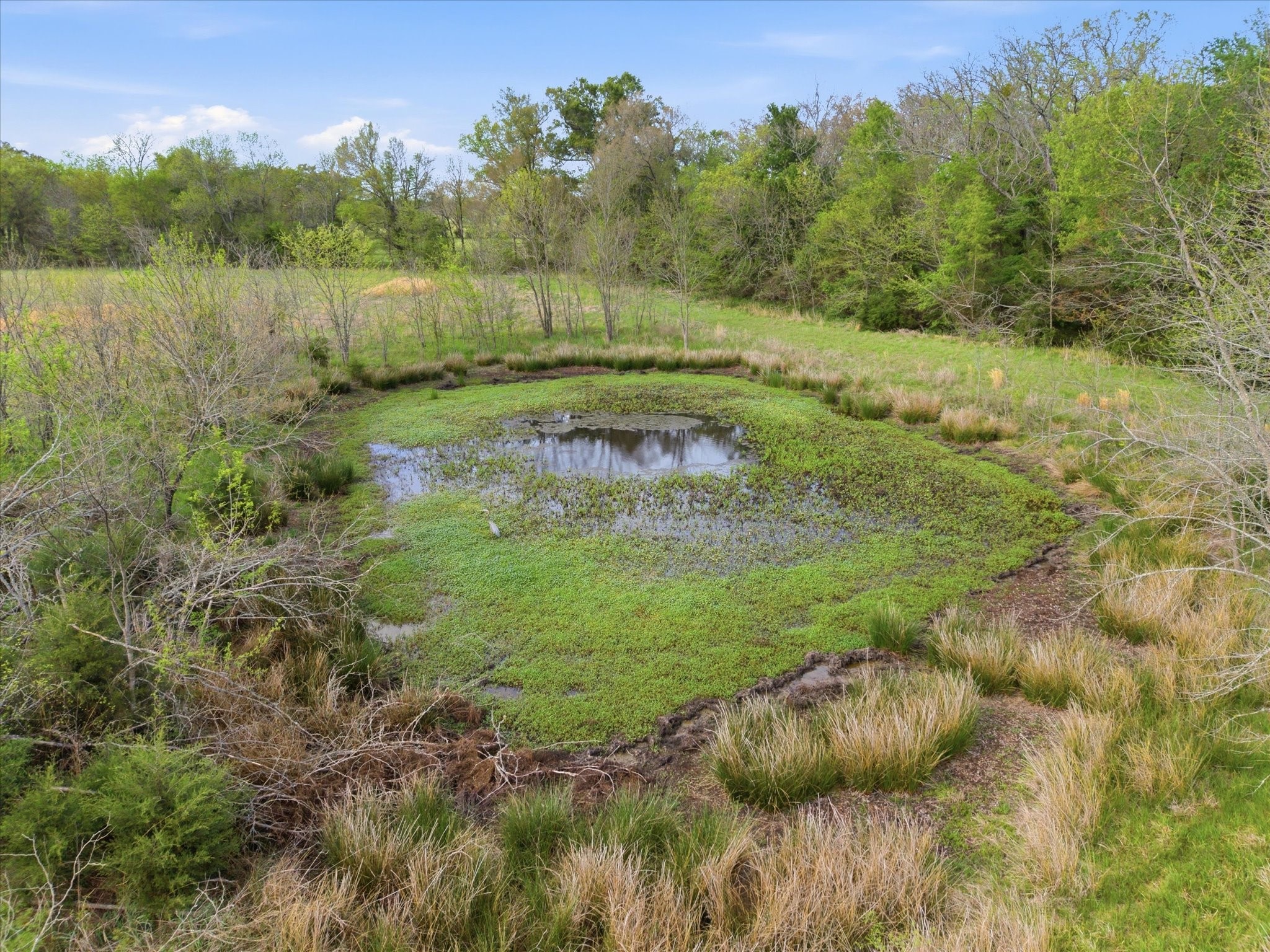 Tbd County Road 1151 Miller Grove TX 75433