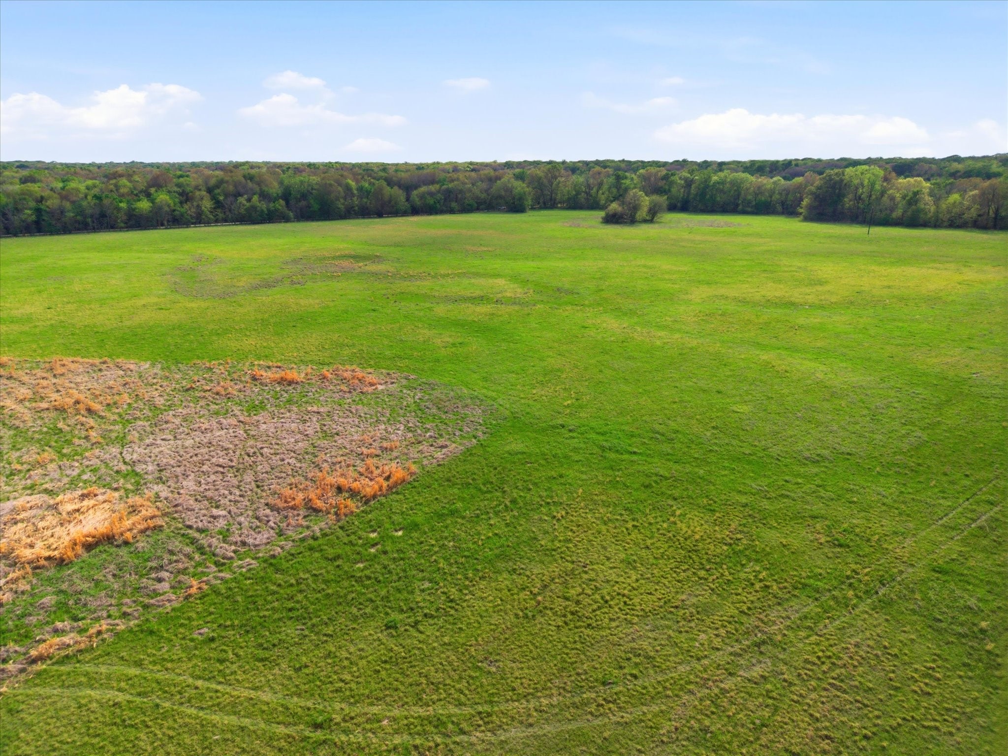 Tbd County Road 1151 Miller Grove TX 75433