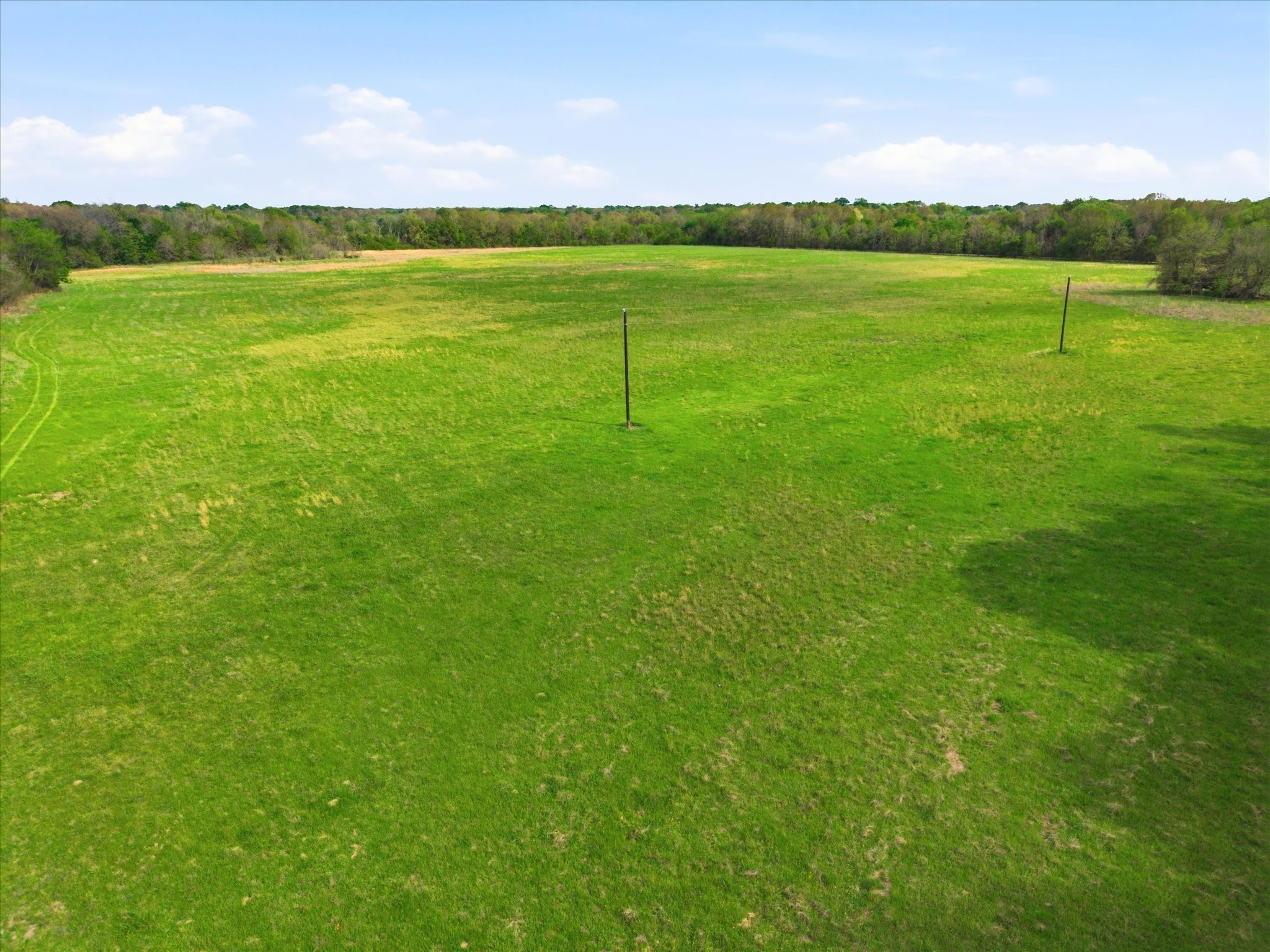 Tbd County Road 1151 Miller Grove TX 75433