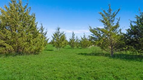 Tbd Lot 1 County Road 43380 Paris TX 75462
