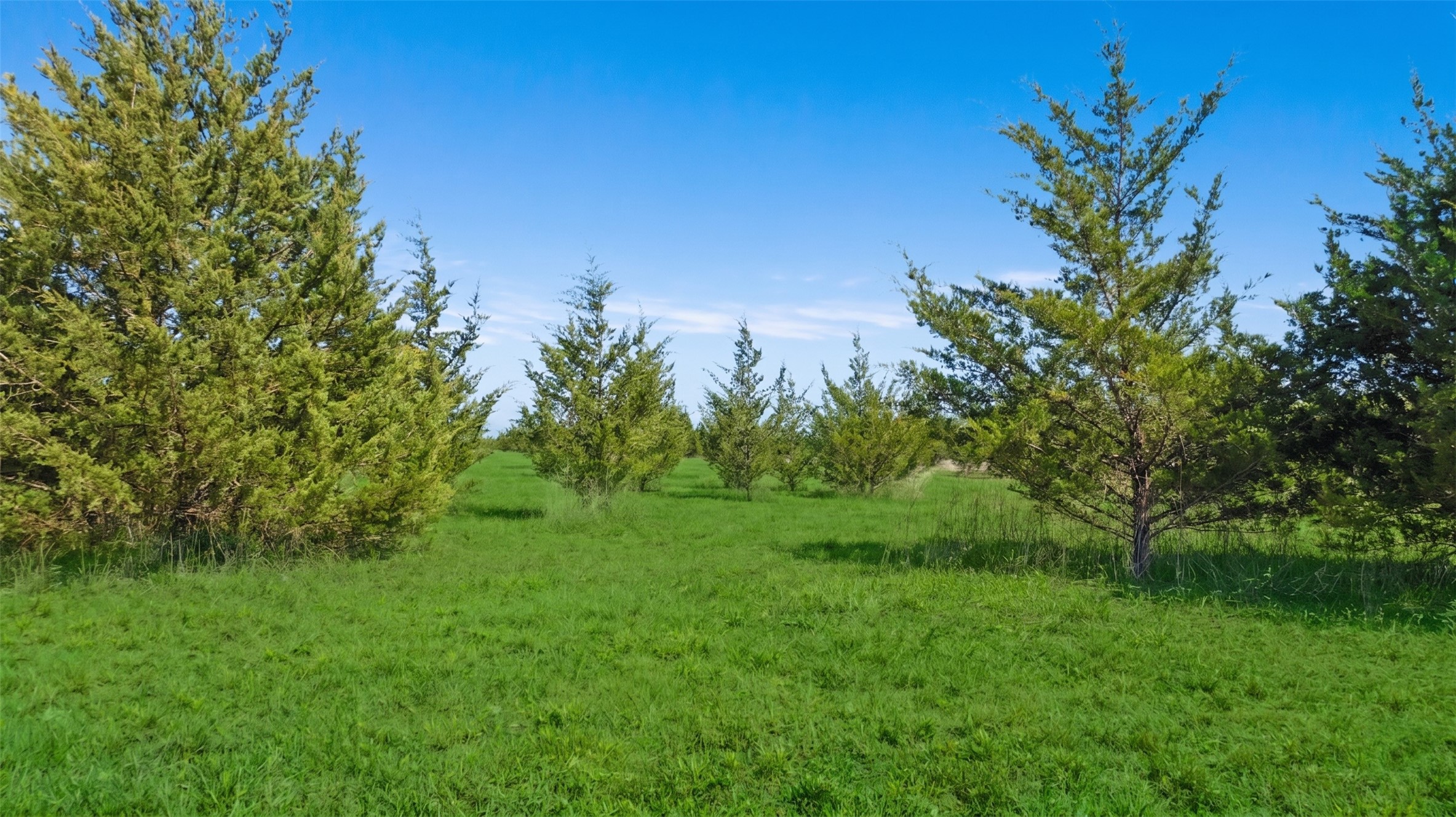 Tbd Lot 1 County Road 43380 Paris TX 75462