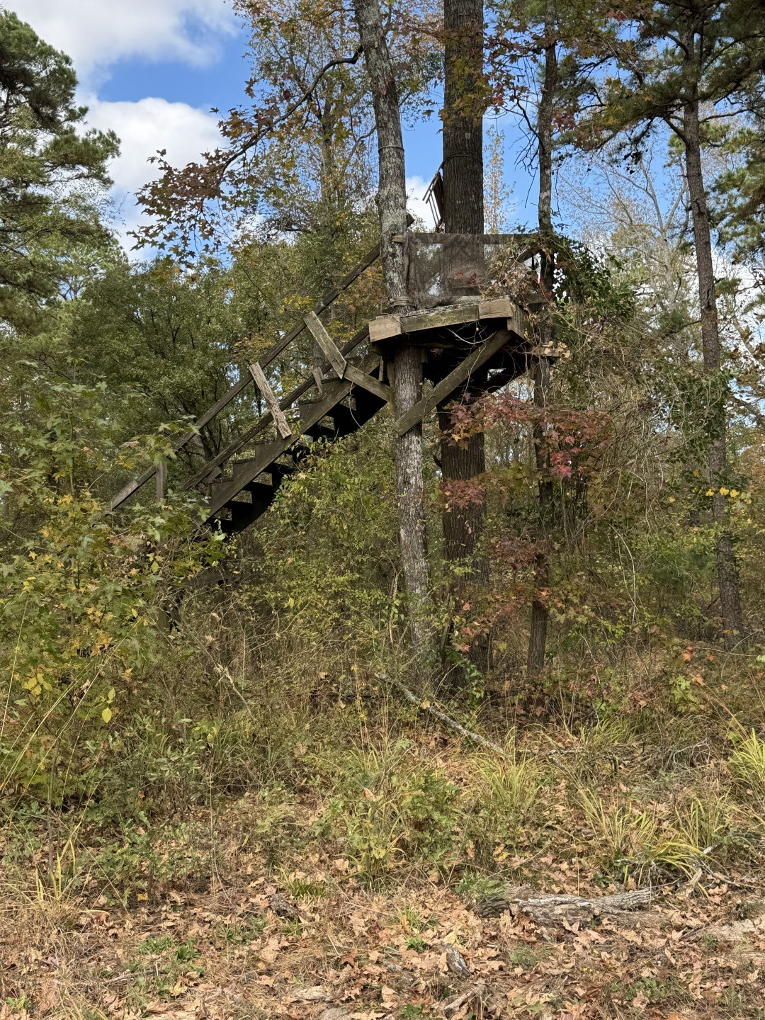 Tbd Stag Road Gilmer TX 75644