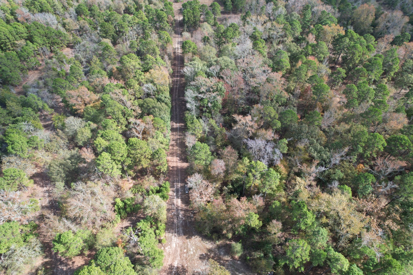 Tbd Stag Road Gilmer TX 75644