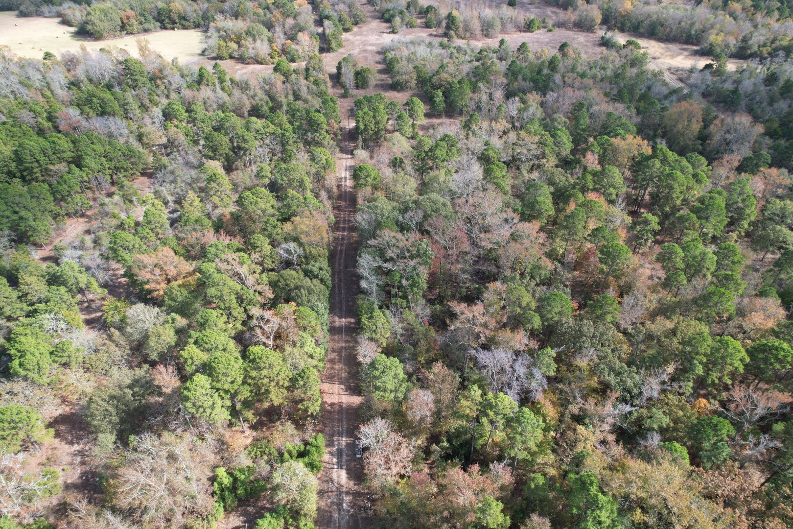 Tbd Stag Road Gilmer TX 75644