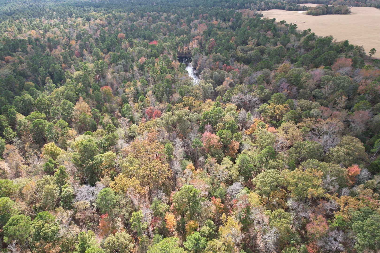 Tbd Stag Road Gilmer TX 75644