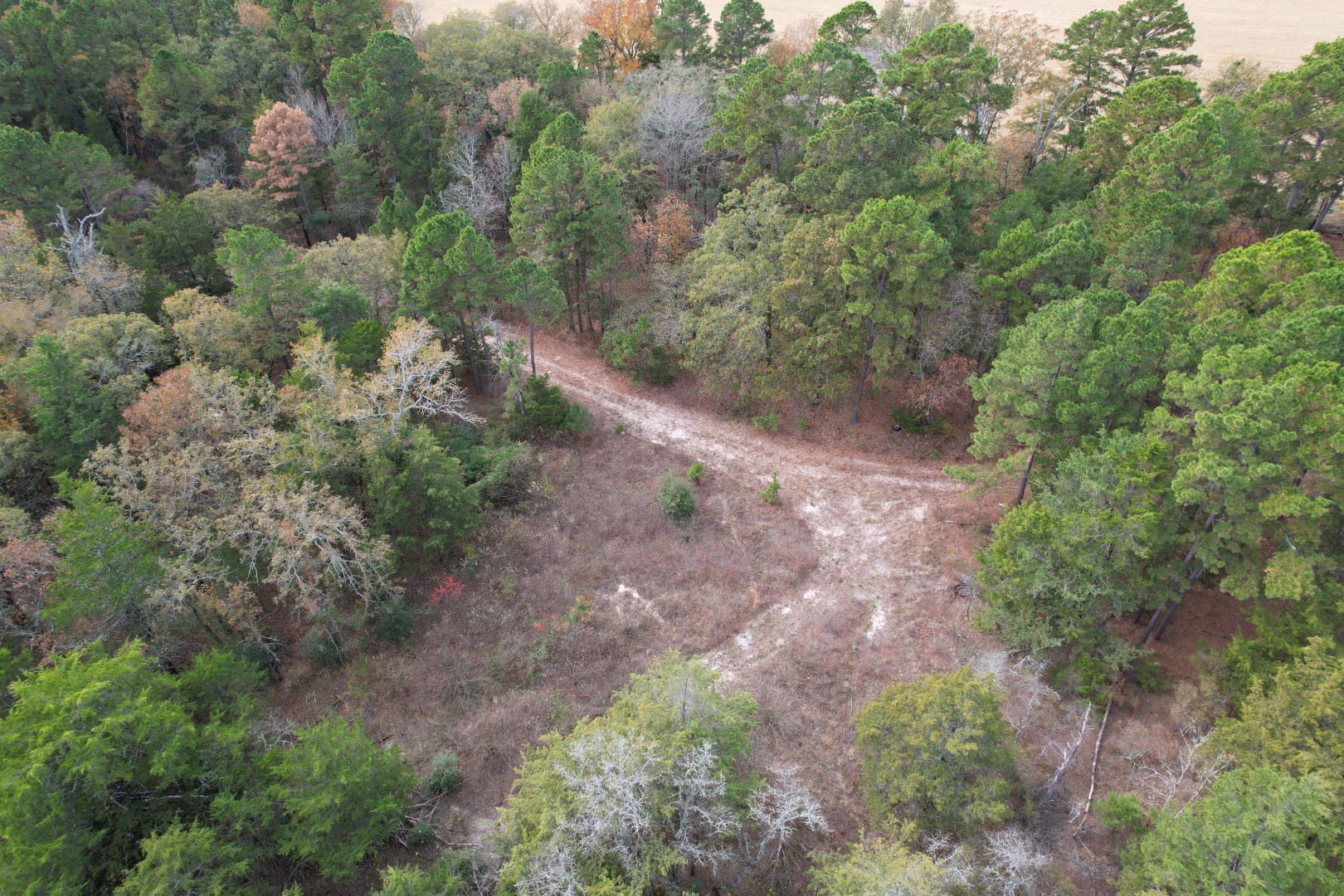 Tbd Stag Road Gilmer TX 75644