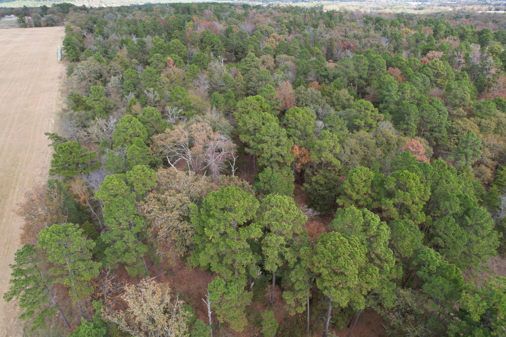 Tbd Stag Road Gilmer TX 75644