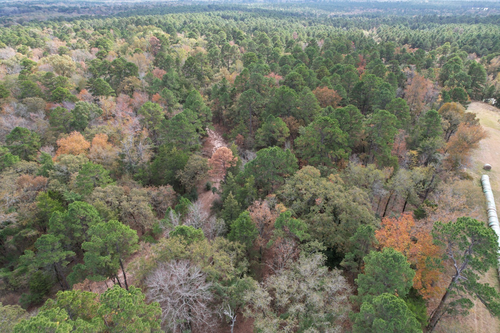 Tbd Stag Road Gilmer TX 75644