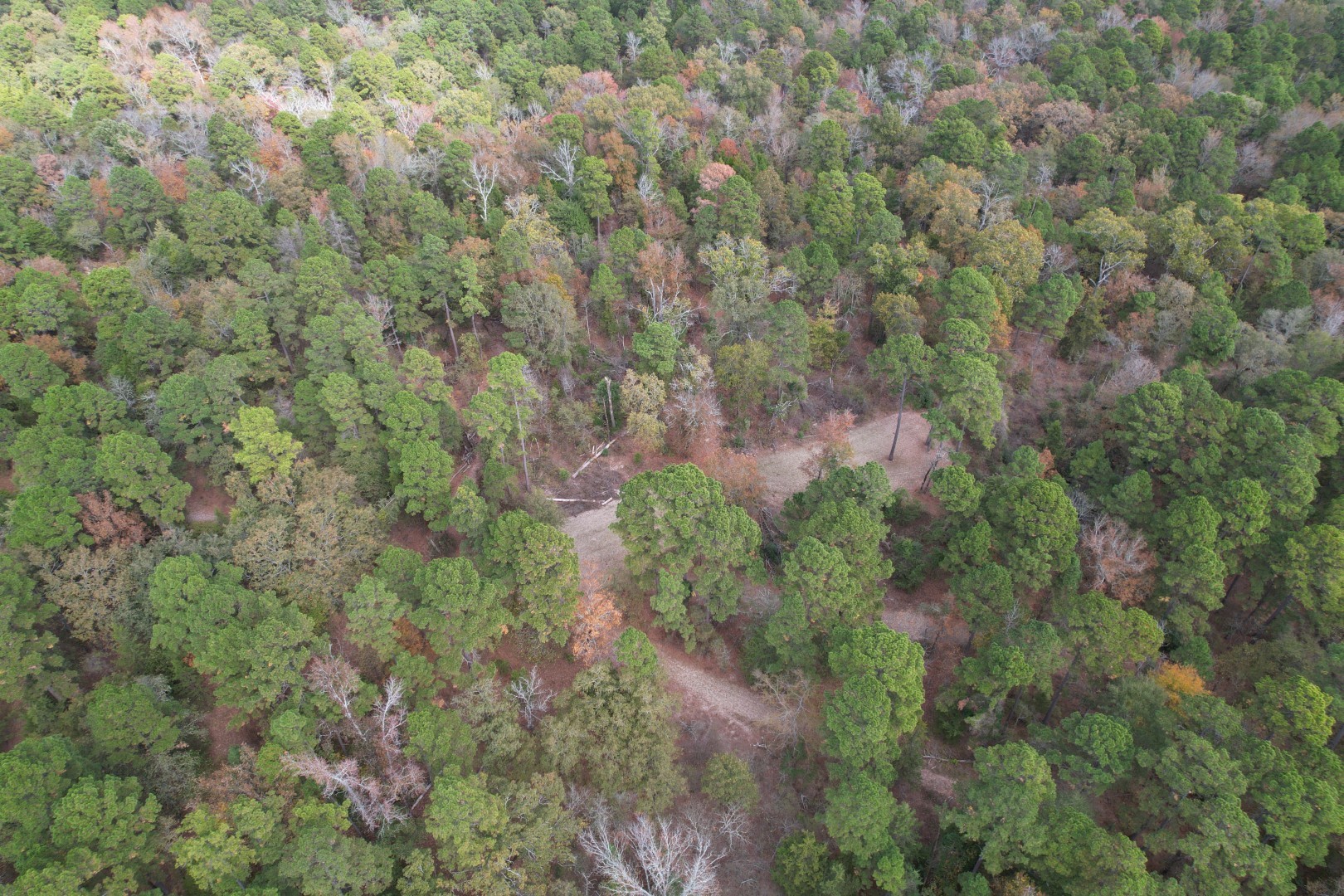 Tbd Stag Road Gilmer TX 75644