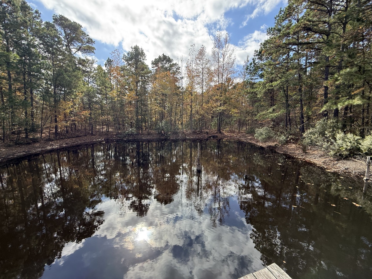 Tbd Stag Road Gilmer TX 75644