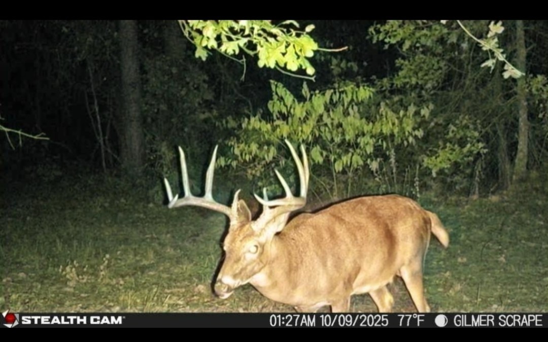 Tbd Stag Road Gilmer TX 75644