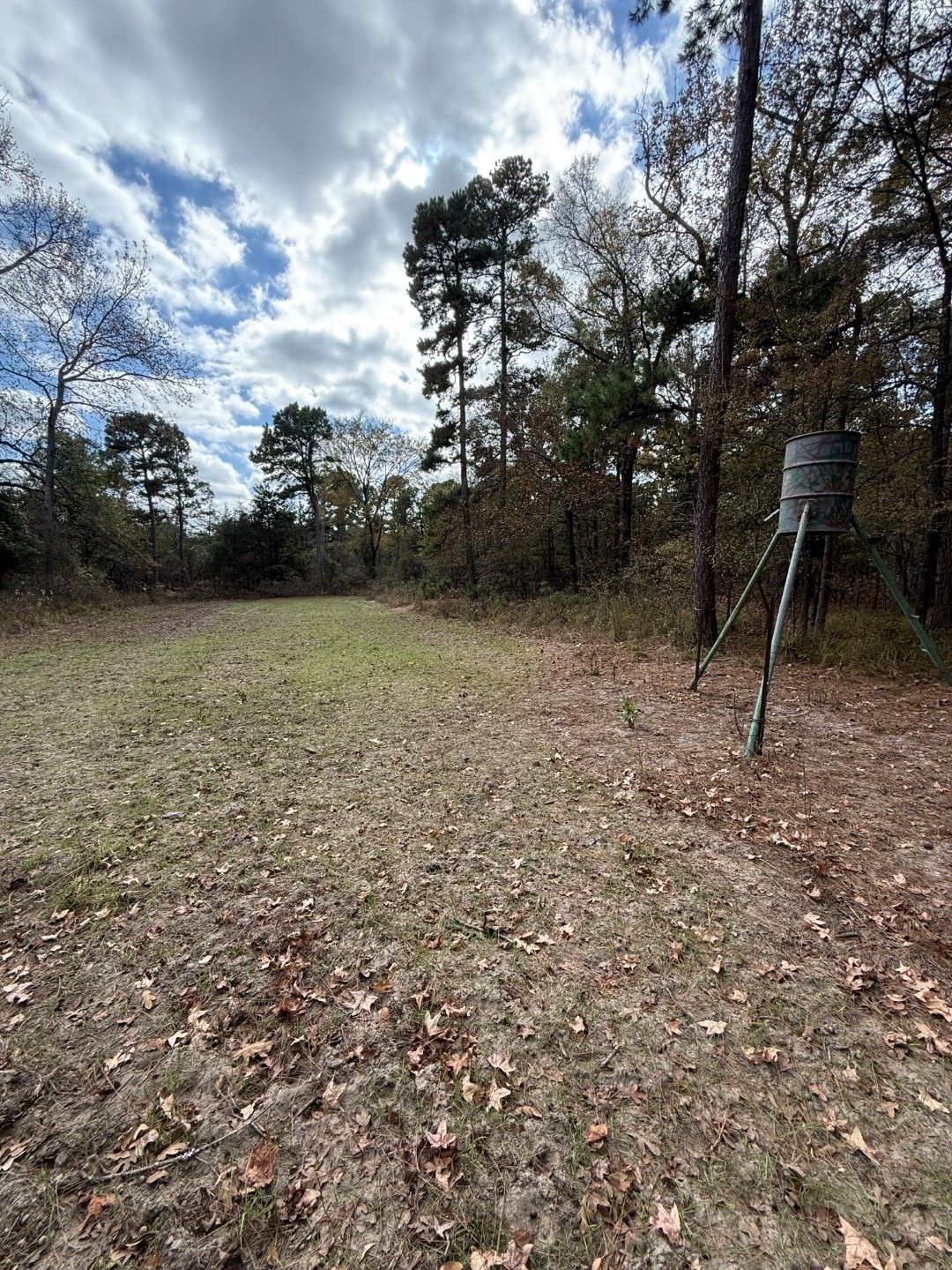 Tbd Stag Road Gilmer TX 75644