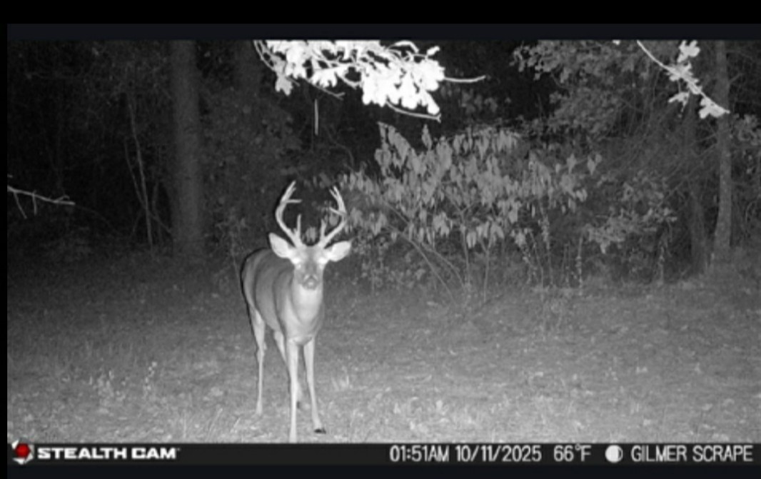 Tbd Stag Road Gilmer TX 75644