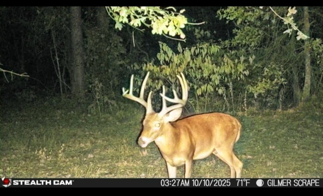 Tbd Stag Road Gilmer TX 75644
